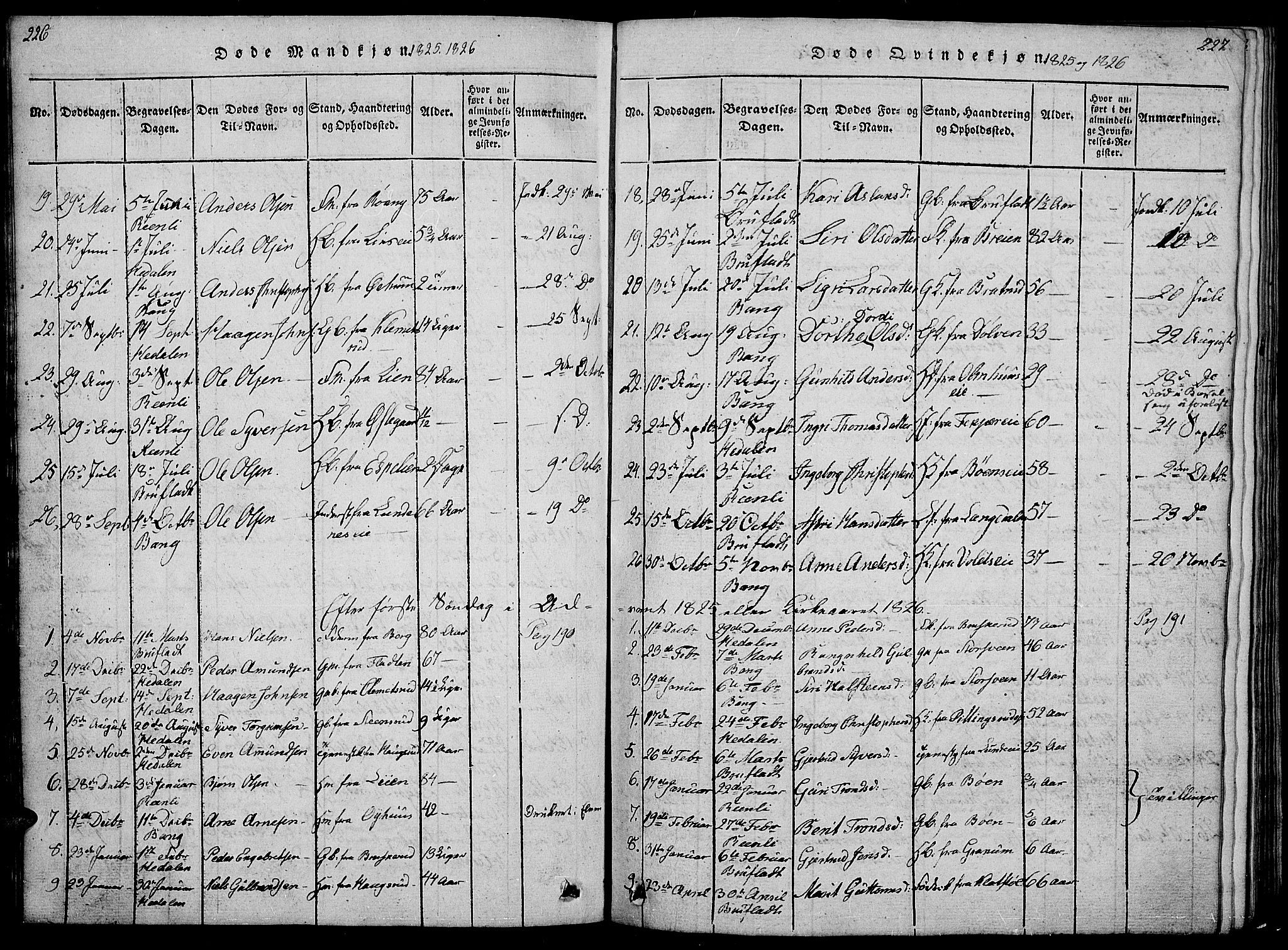 Sør-Aurdal prestekontor, SAH/PREST-128/H/Ha/Hab/L0001: Parish register (copy) no. 1, 1815-1826, p. 226-227