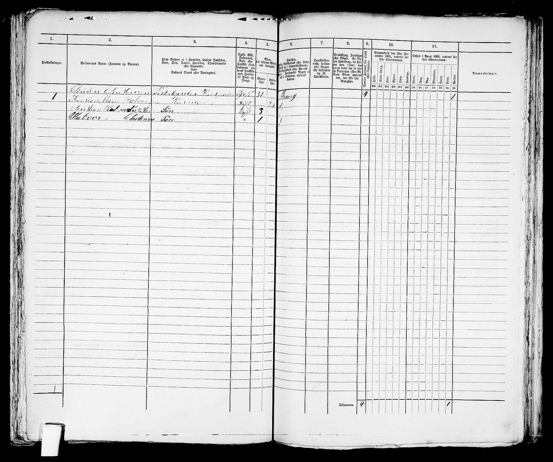 RA, 1865 census for Brevik, 1865, p. 291