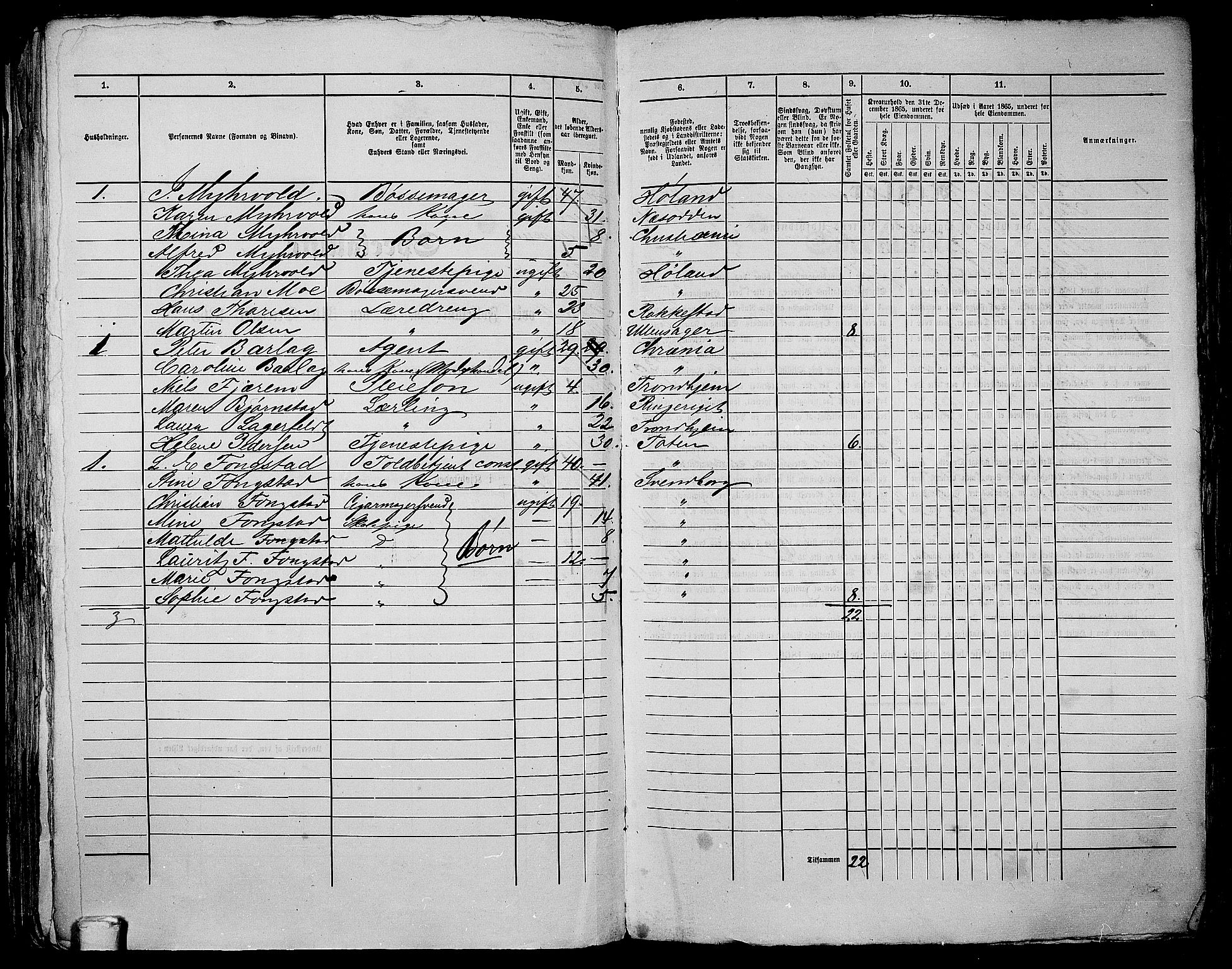 RA, 1865 census for Kristiania, 1865, p. 312