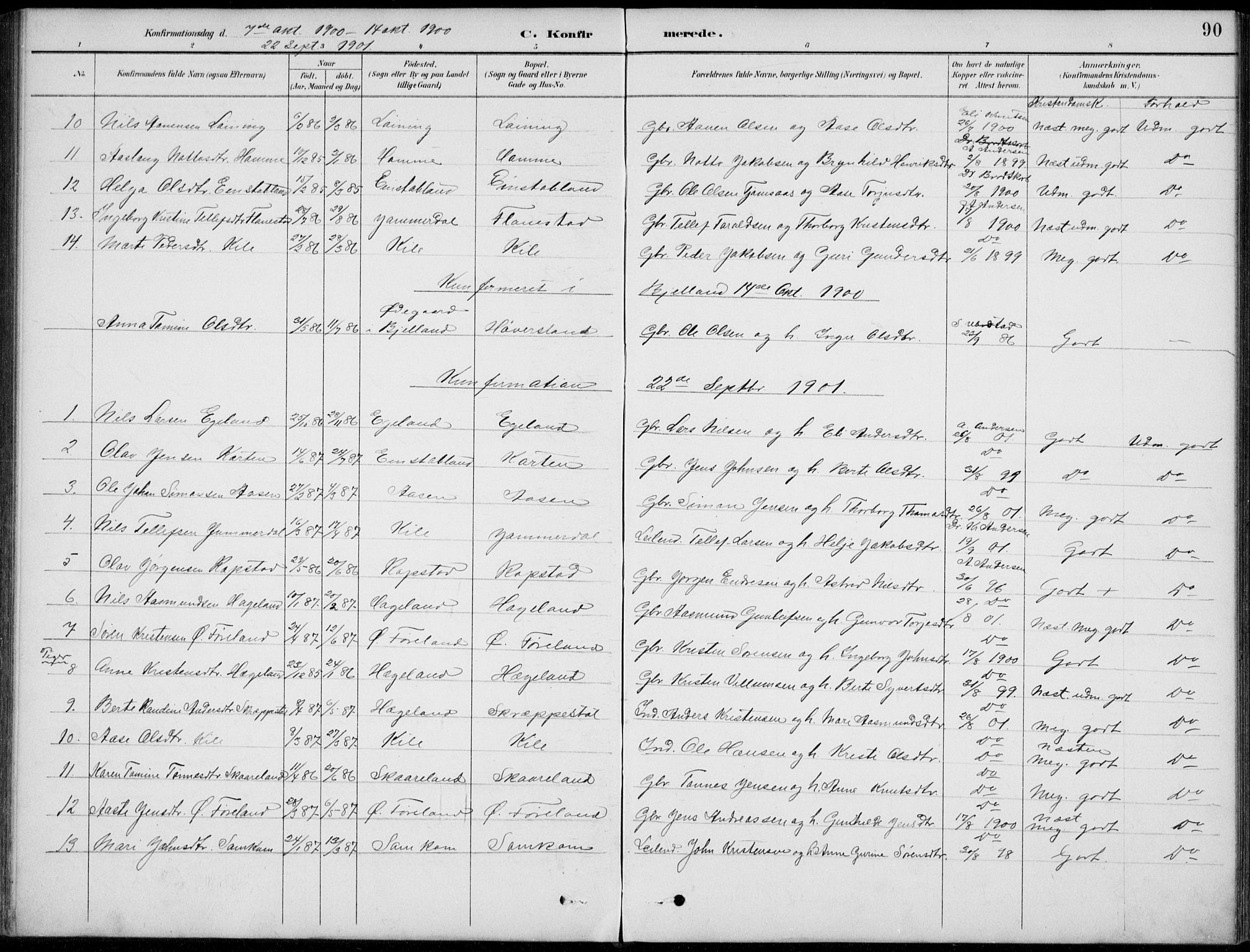 Vennesla sokneprestkontor, AV/SAK-1111-0045/Fb/Fba/L0003: Parish register (copy) no. B 3, 1890-1919, p. 90