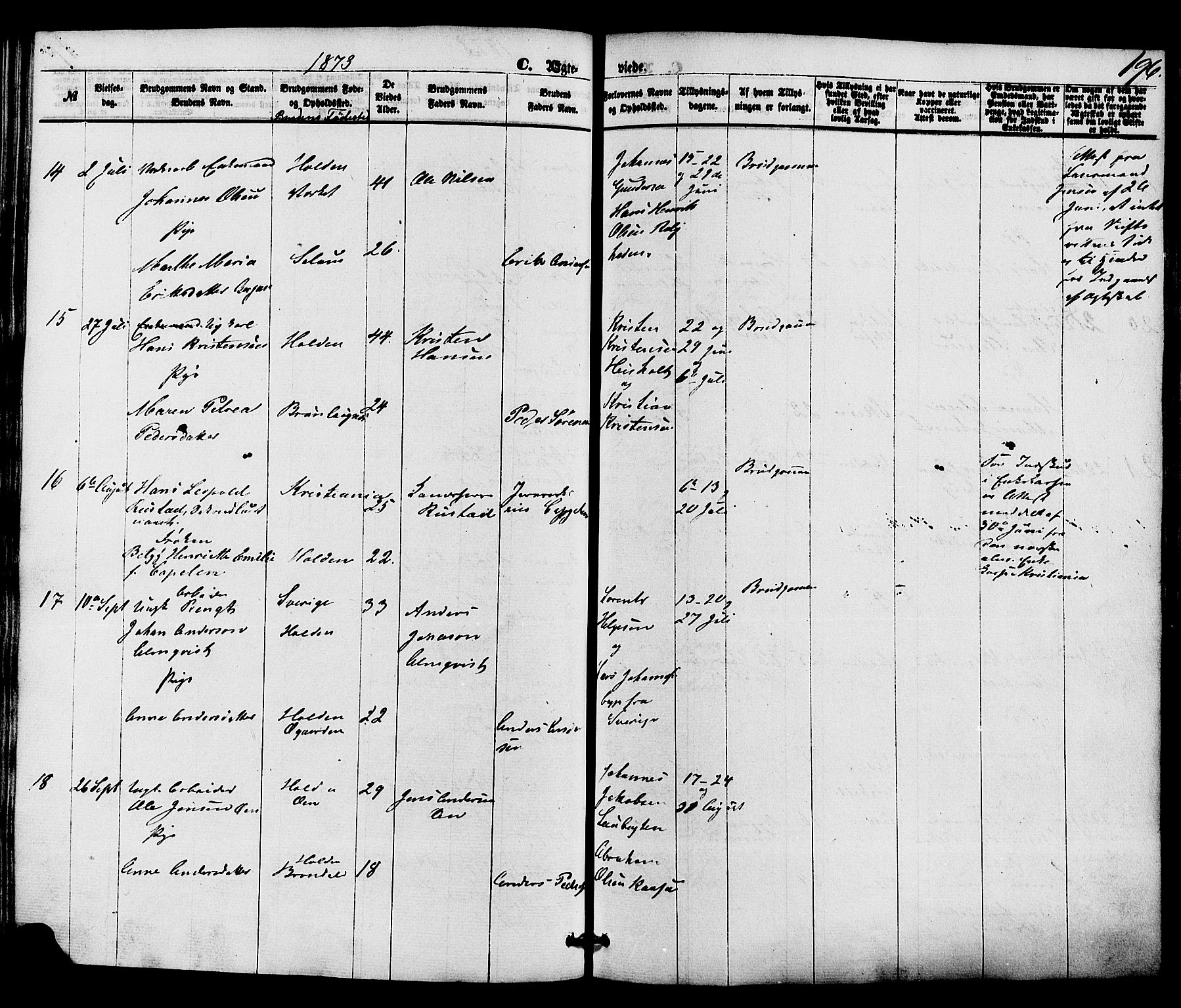 Holla kirkebøker, SAKO/A-272/F/Fa/L0007: Parish register (official) no. 7, 1869-1881, p. 196