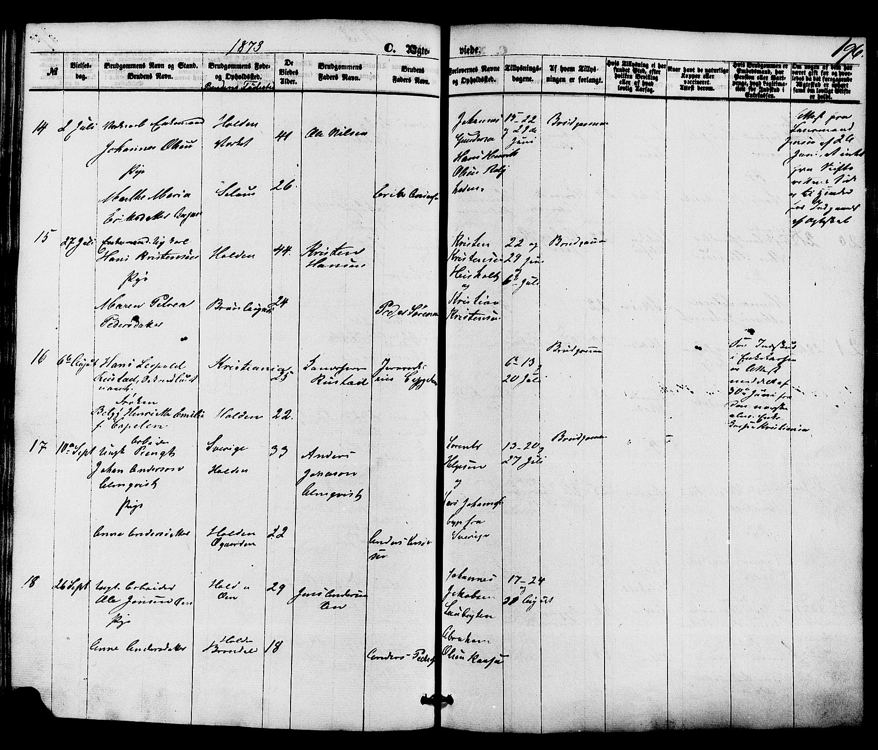 Holla kirkebøker, AV/SAKO-A-272/F/Fa/L0007: Parish register (official) no. 7, 1869-1881, p. 196