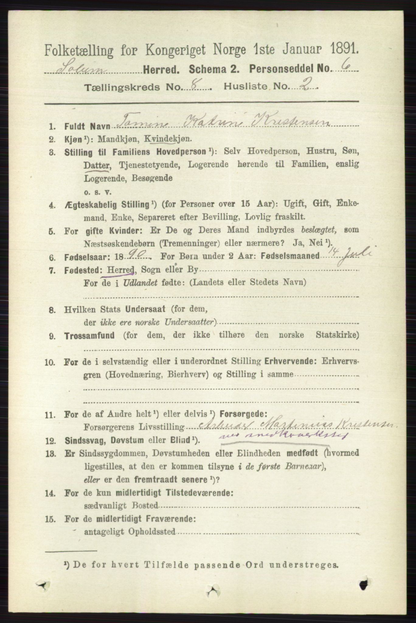 RA, 1891 census for 0818 Solum, 1891, p. 4119