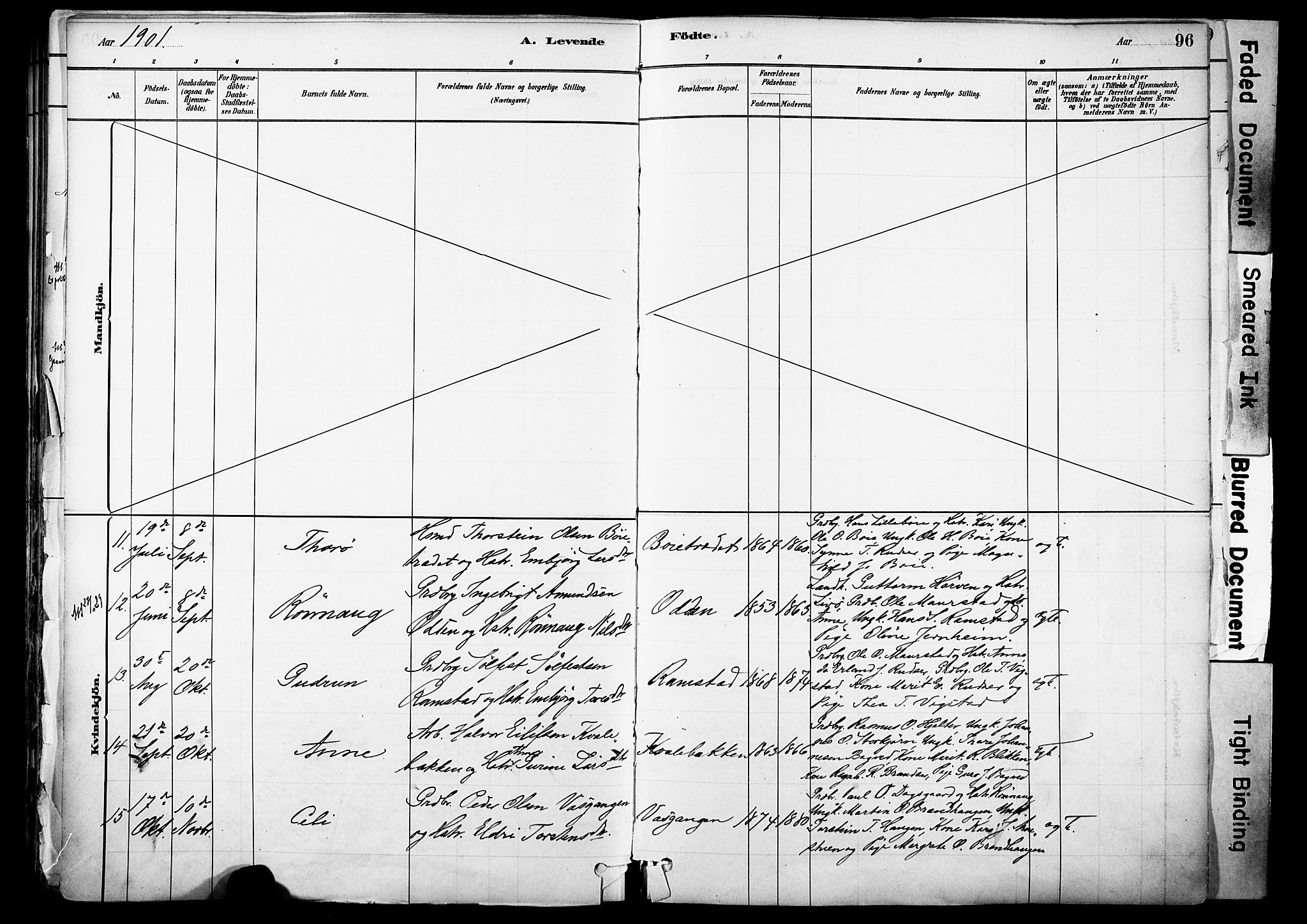 Skjåk prestekontor, AV/SAH-PREST-072/H/Ha/Haa/L0003: Parish register (official) no. 3, 1880-1907, p. 96