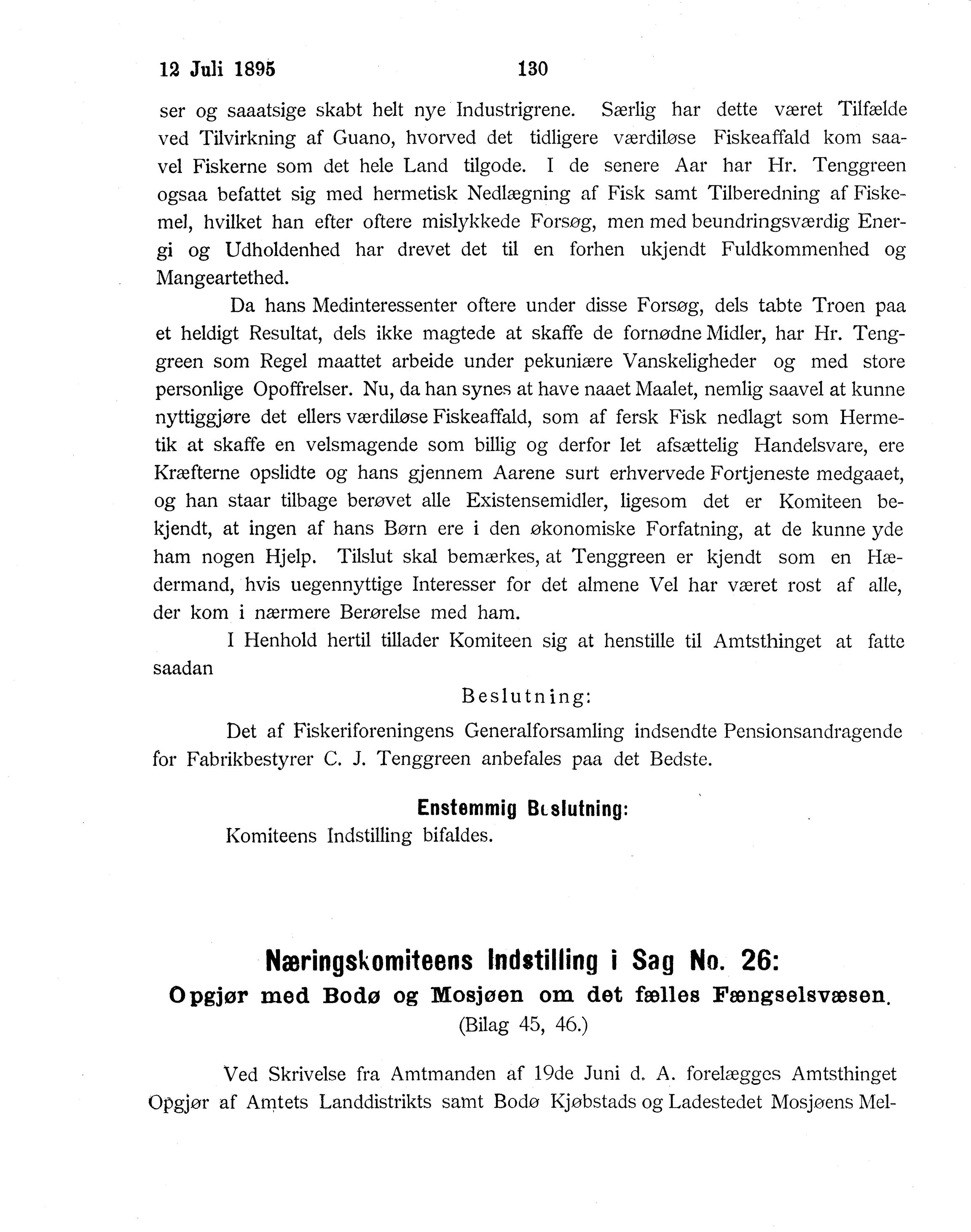 Nordland Fylkeskommune. Fylkestinget, AIN/NFK-17/176/A/Ac/L0018: Fylkestingsforhandlinger 1895, 1895