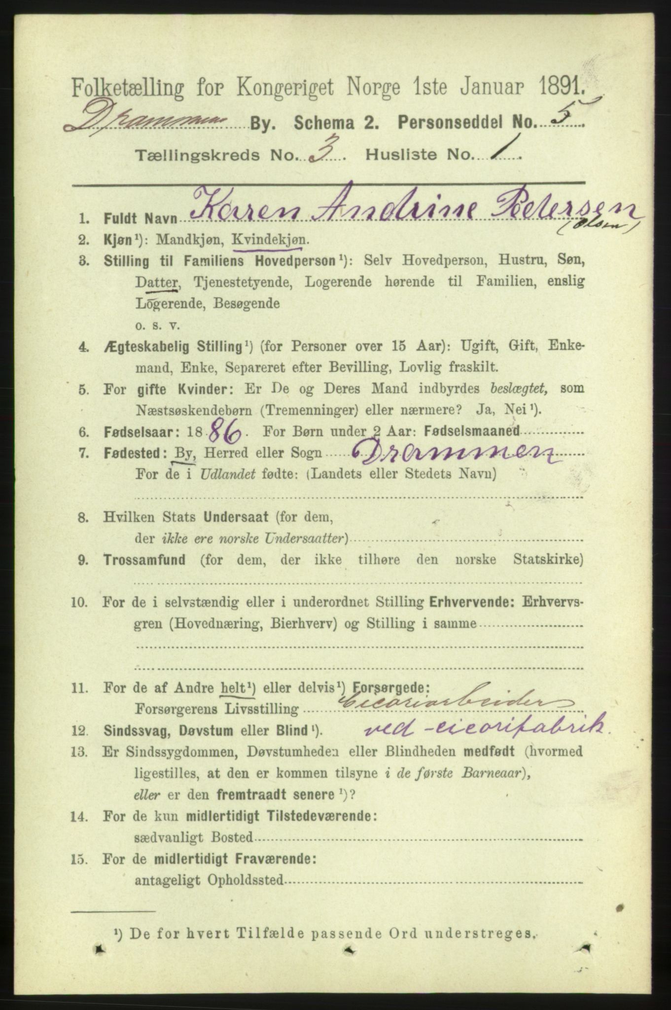 RA, 1891 census for 0602 Drammen, 1891, p. 4910