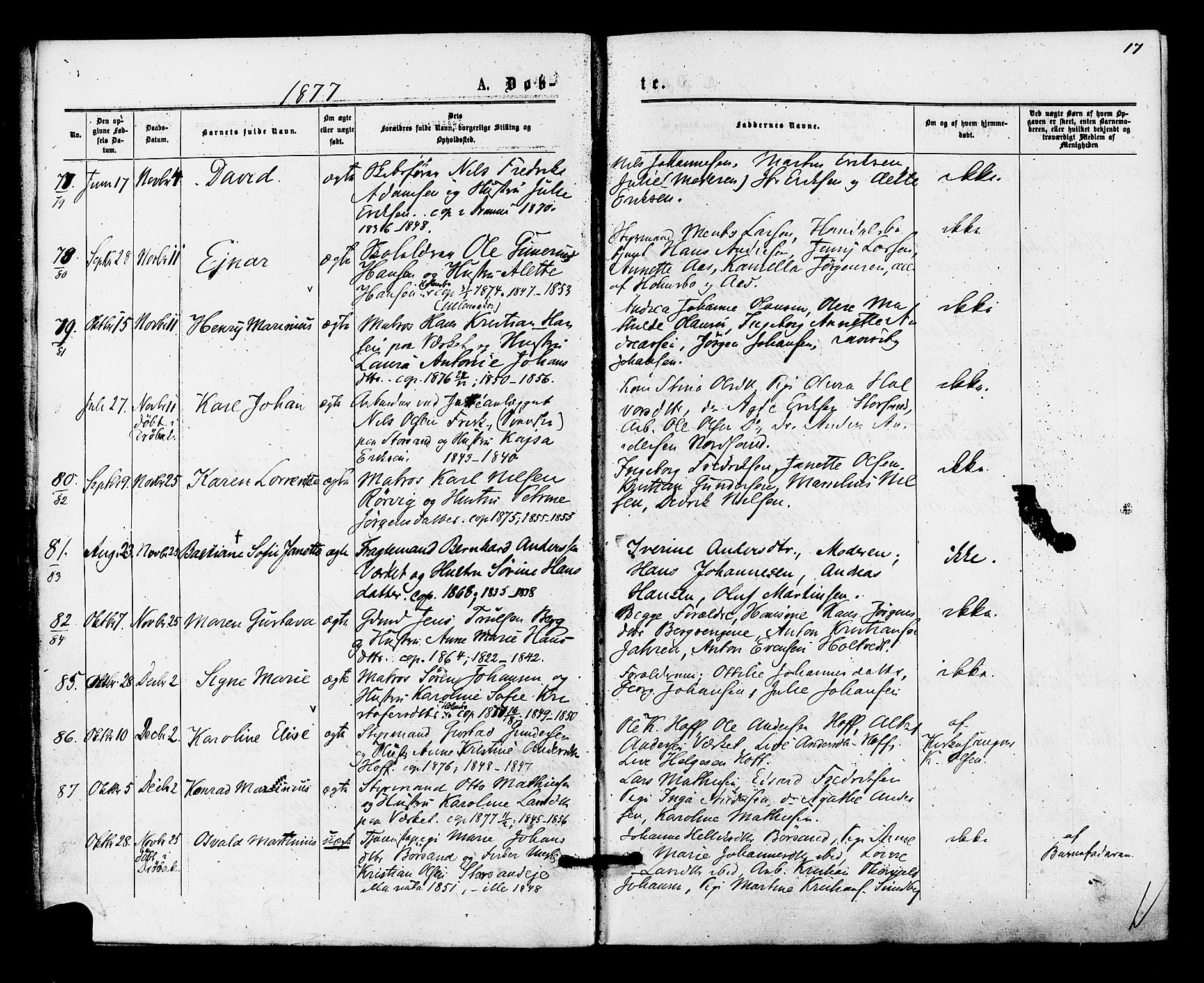 Hurum kirkebøker, SAKO/A-229/F/Fa/L0013: Parish register (official) no. 13, 1876-1881, p. 17