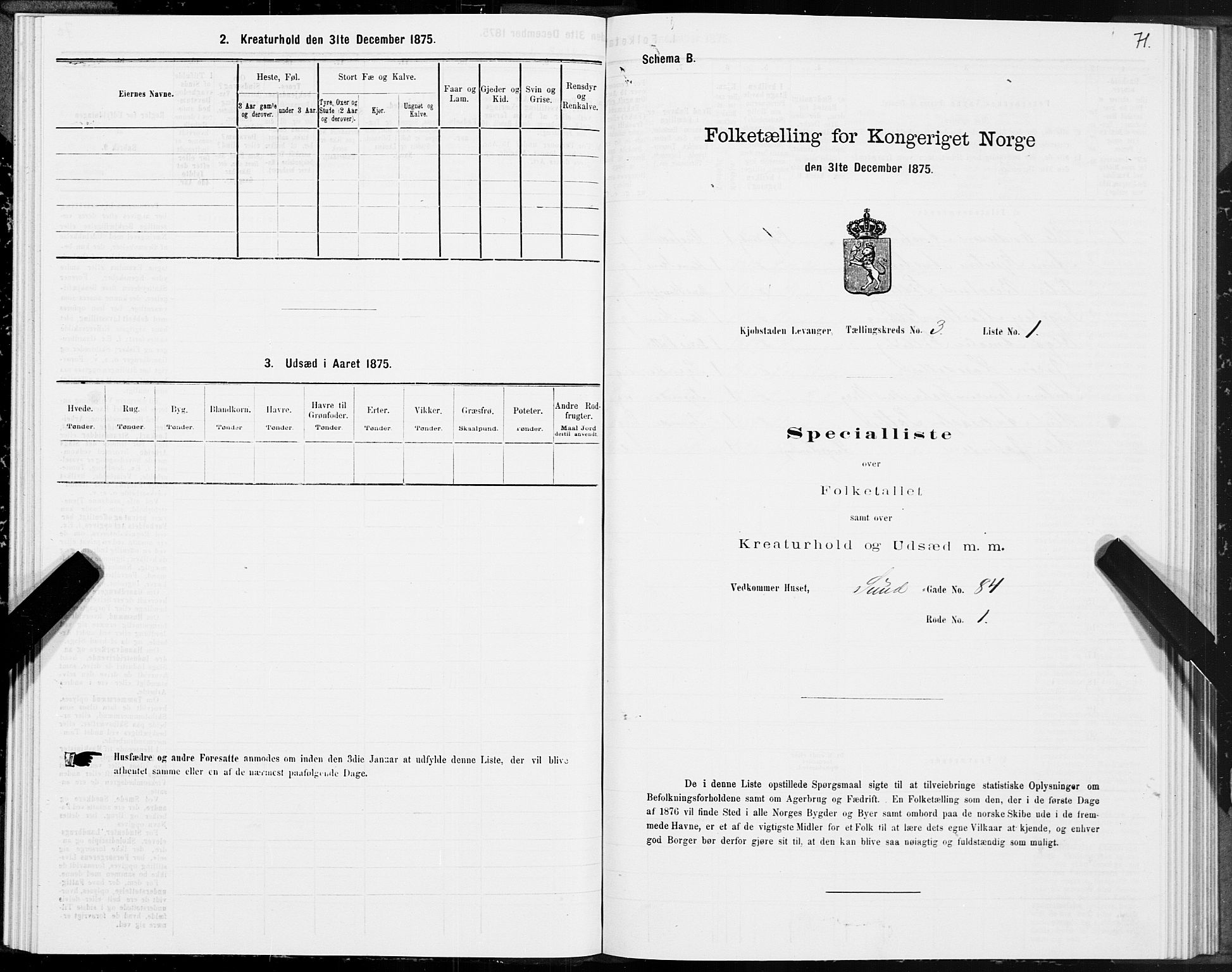 SAT, 1875 census for 1701B Levanger/Levanger, 1875, p. 71