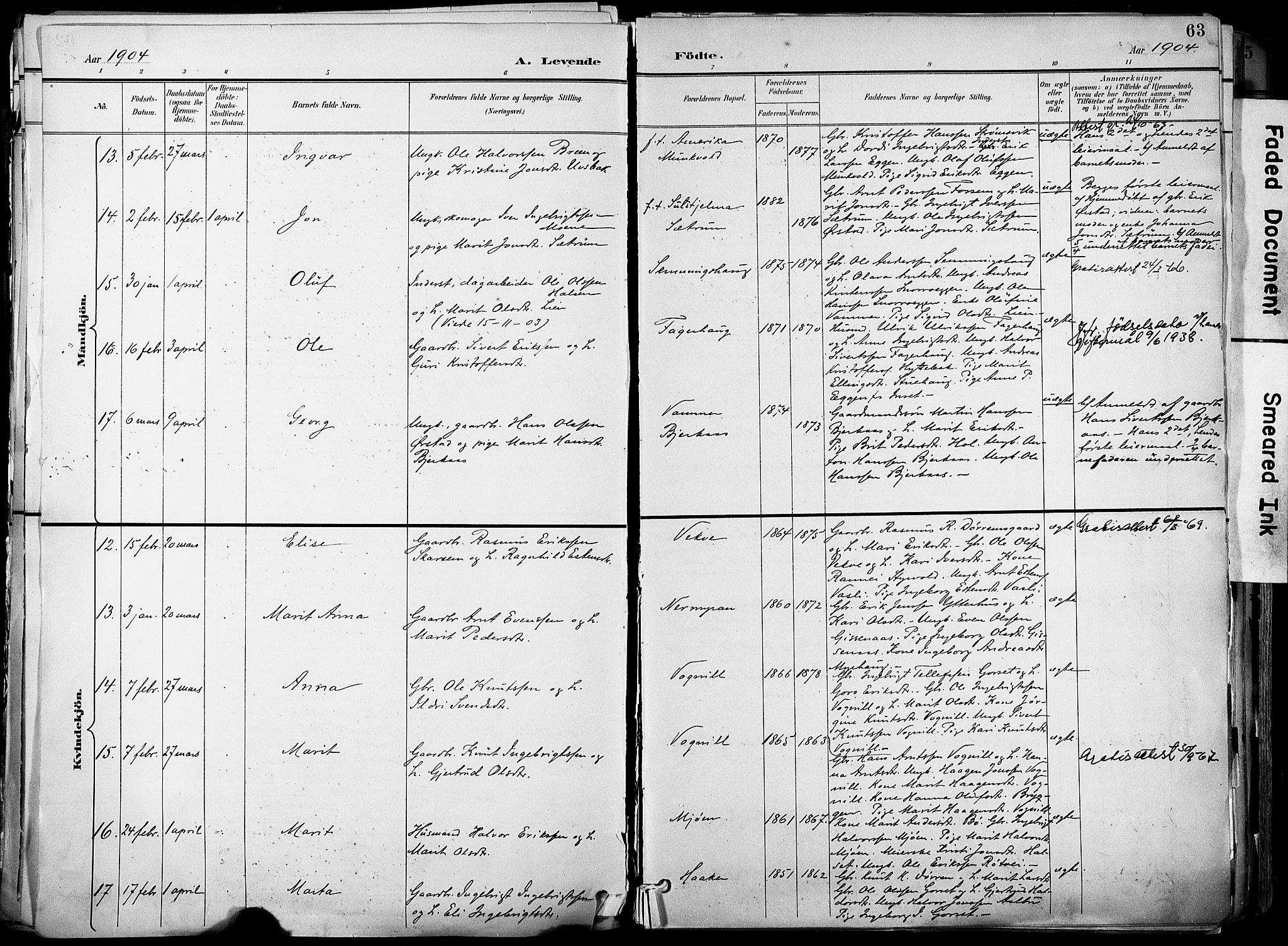 Ministerialprotokoller, klokkerbøker og fødselsregistre - Sør-Trøndelag, AV/SAT-A-1456/678/L0902: Parish register (official) no. 678A11, 1895-1911, p. 63