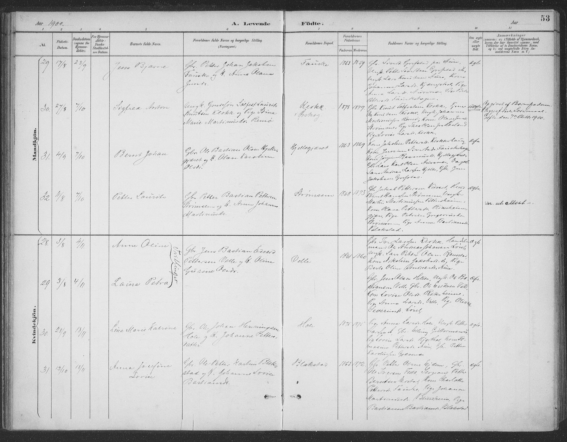 Ministerialprotokoller, klokkerbøker og fødselsregistre - Møre og Romsdal, AV/SAT-A-1454/523/L0335: Parish register (official) no. 523A02, 1891-1911, p. 53