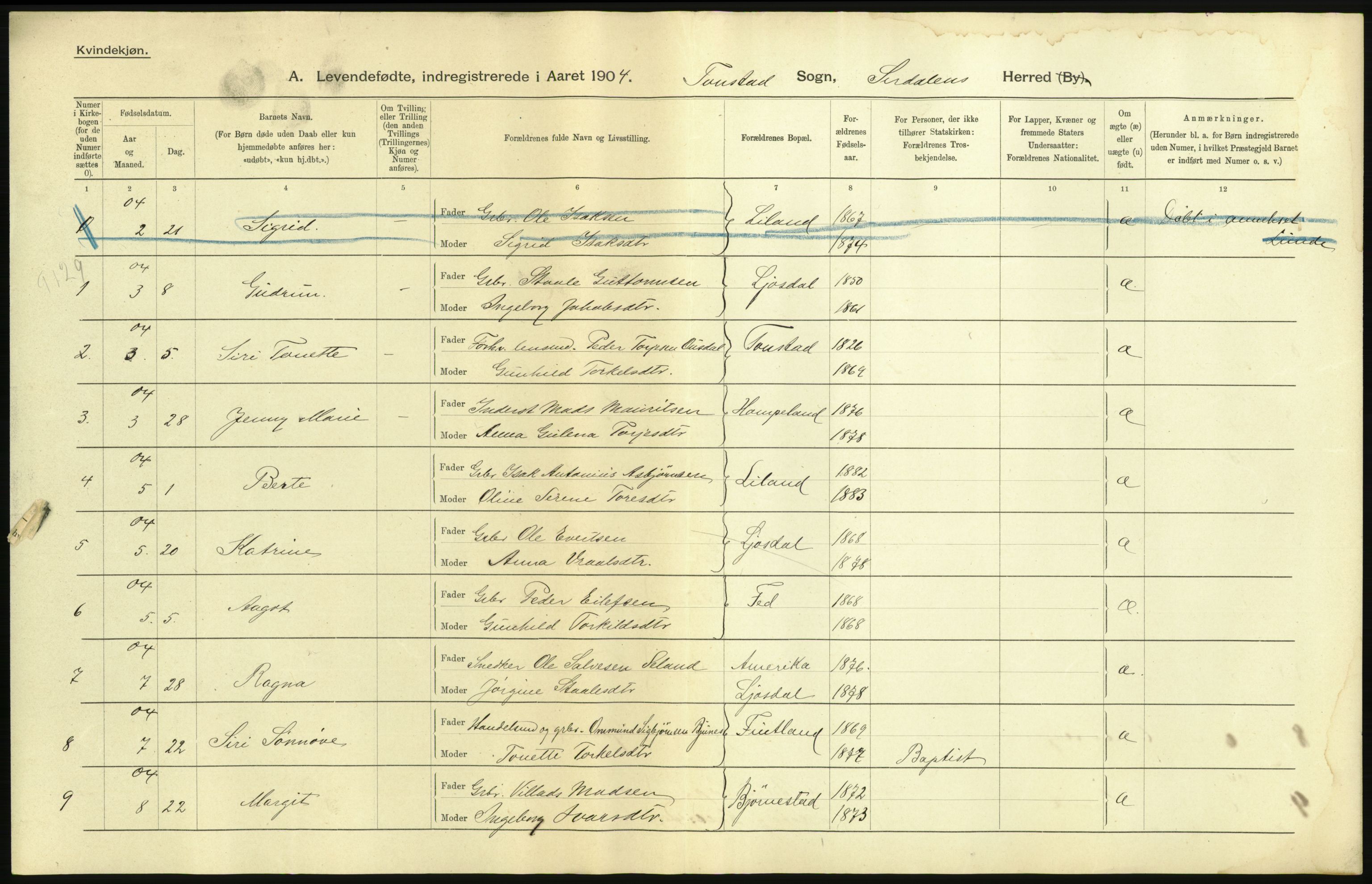 Statistisk sentralbyrå, Sosiodemografiske emner, Befolkning, AV/RA-S-2228/D/Df/Dfa/Dfab/L0011: Lister og Mandals amt: Fødte, gifte, døde, 1904, p. 9