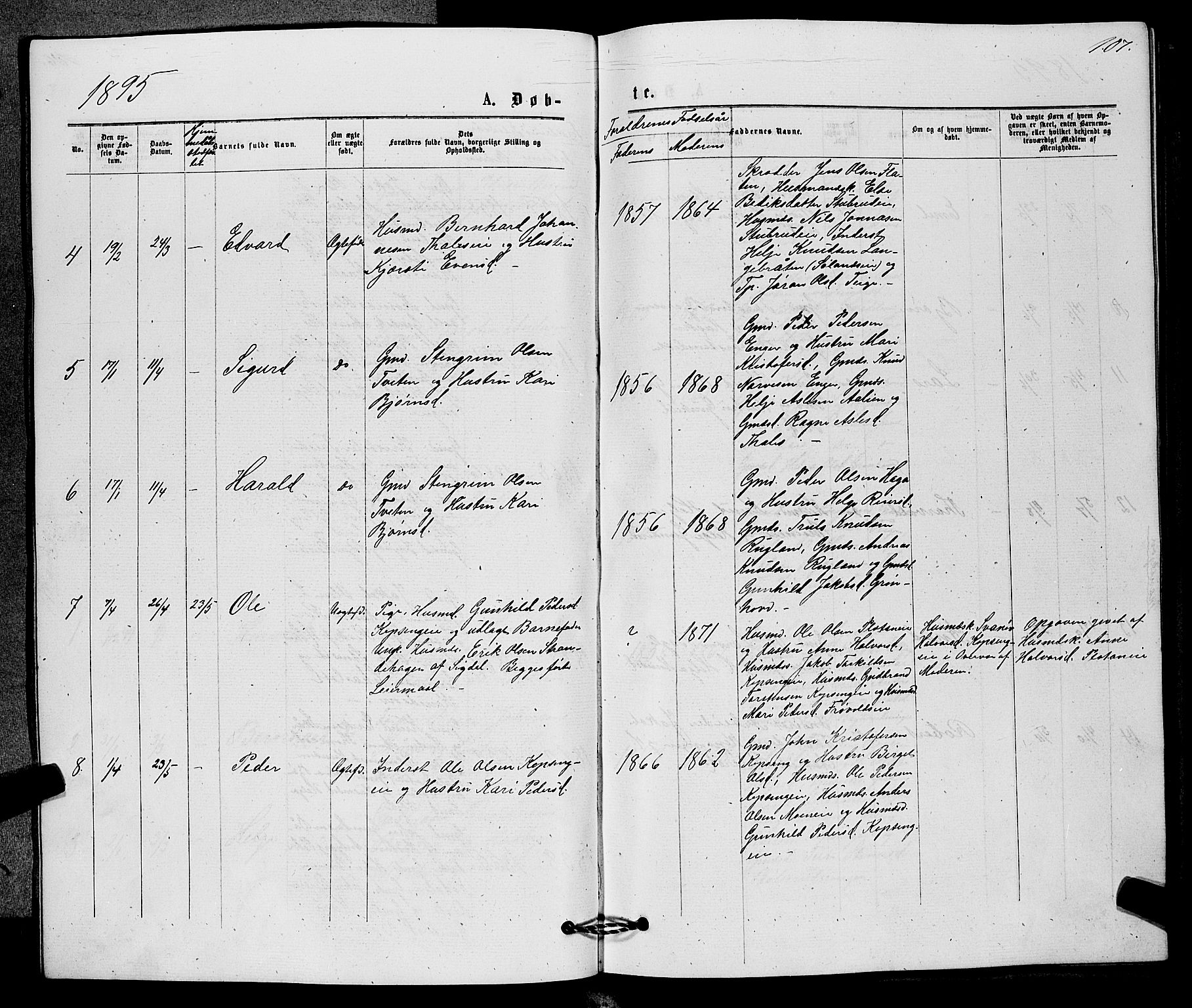 Sigdal kirkebøker, AV/SAKO-A-245/G/Gb/L0002: Parish register (copy) no. II 2, 1875-1900, p. 107