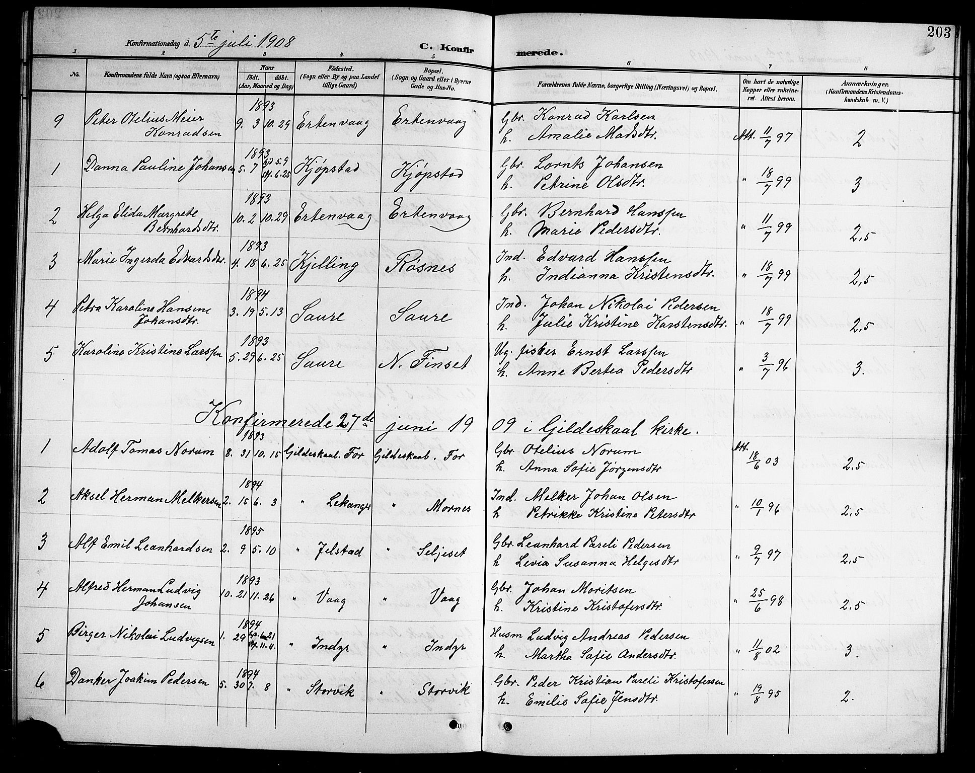 Ministerialprotokoller, klokkerbøker og fødselsregistre - Nordland, AV/SAT-A-1459/805/L0109: Parish register (copy) no. 805C05, 1900-1911, p. 203