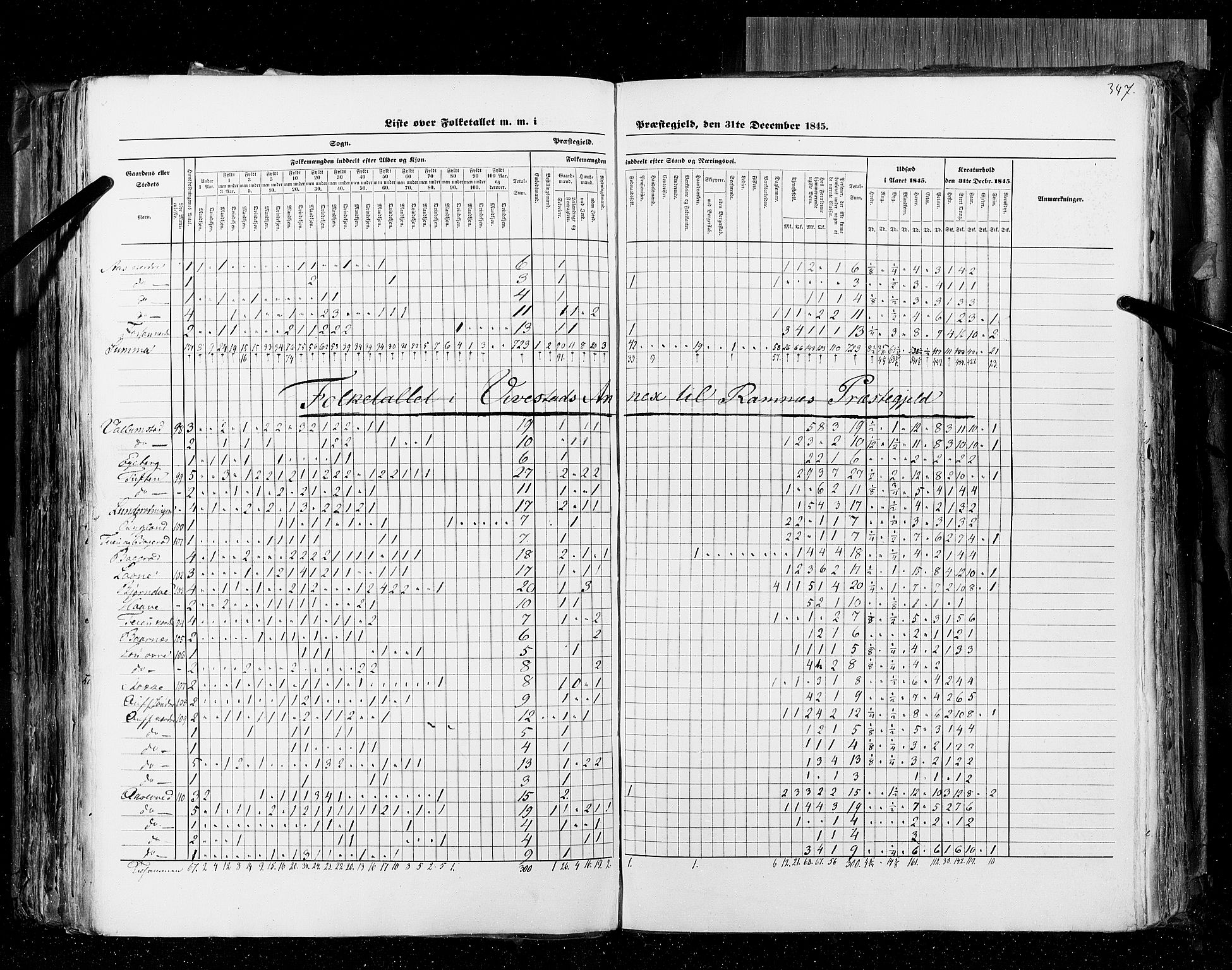 RA, Census 1845, vol. 4: Buskerud amt og Jarlsberg og Larvik amt, 1845, p. 347