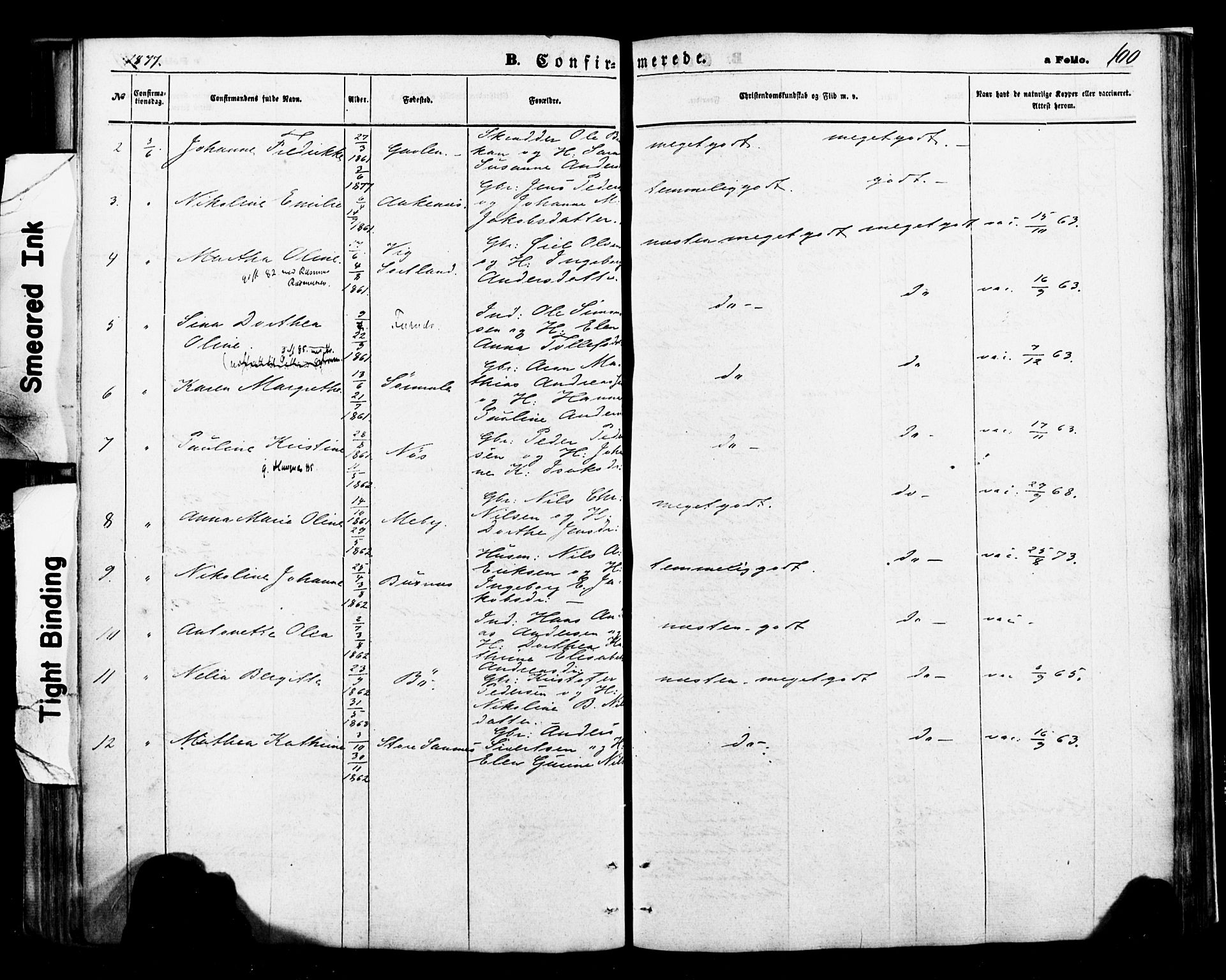 Ministerialprotokoller, klokkerbøker og fødselsregistre - Nordland, AV/SAT-A-1459/898/L1421: Parish register (official) no. 898A01, 1866-1886, p. 100