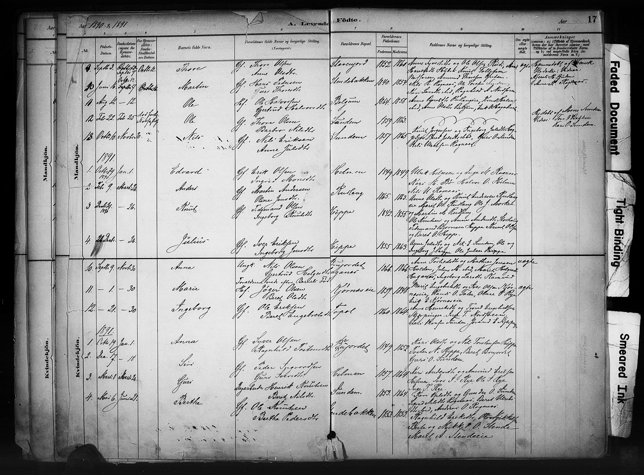 Nord-Aurdal prestekontor, AV/SAH-PREST-132/H/Ha/Haa/L0011: Parish register (official) no. 11, 1883-1896, p. 17