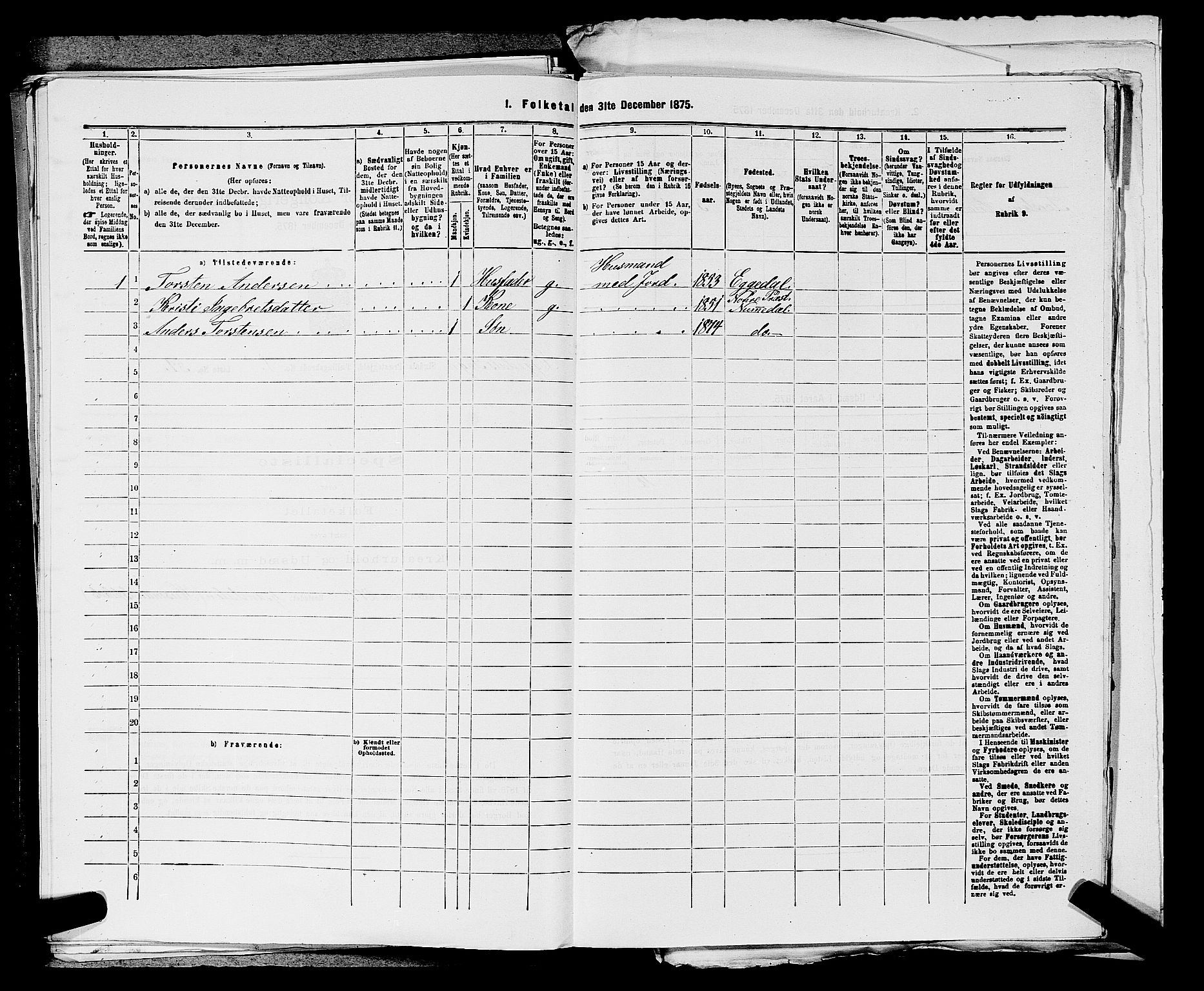 SAKO, 1875 census for 0621P Sigdal, 1875, p. 1991