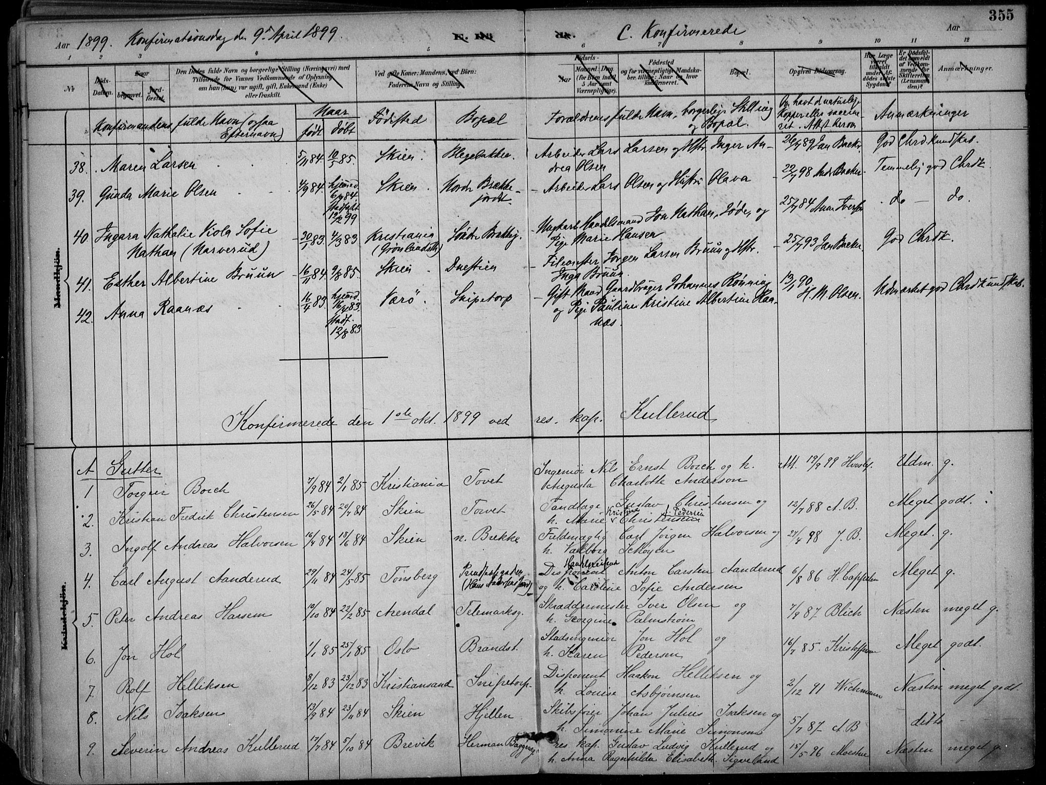 Skien kirkebøker, AV/SAKO-A-302/F/Fa/L0010: Parish register (official) no. 10, 1891-1899, p. 355