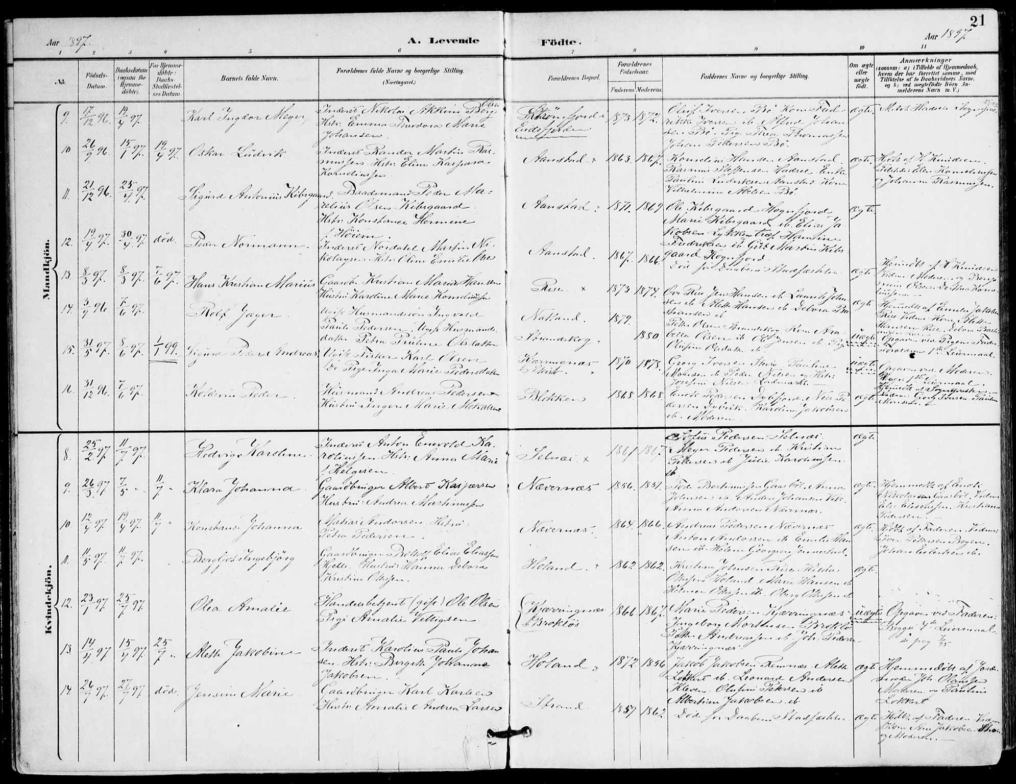 Ministerialprotokoller, klokkerbøker og fødselsregistre - Nordland, AV/SAT-A-1459/895/L1372: Parish register (official) no. 895A07, 1894-1914, p. 21