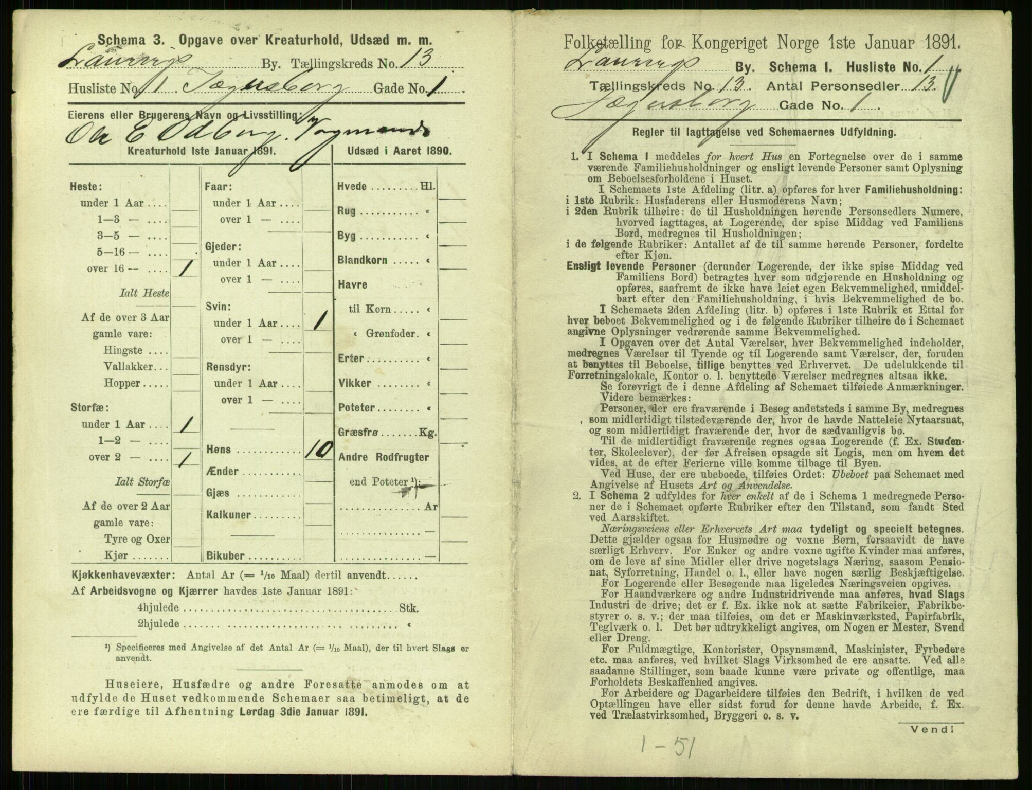 RA, 1891 census for 0707 Larvik, 1891, p. 1509