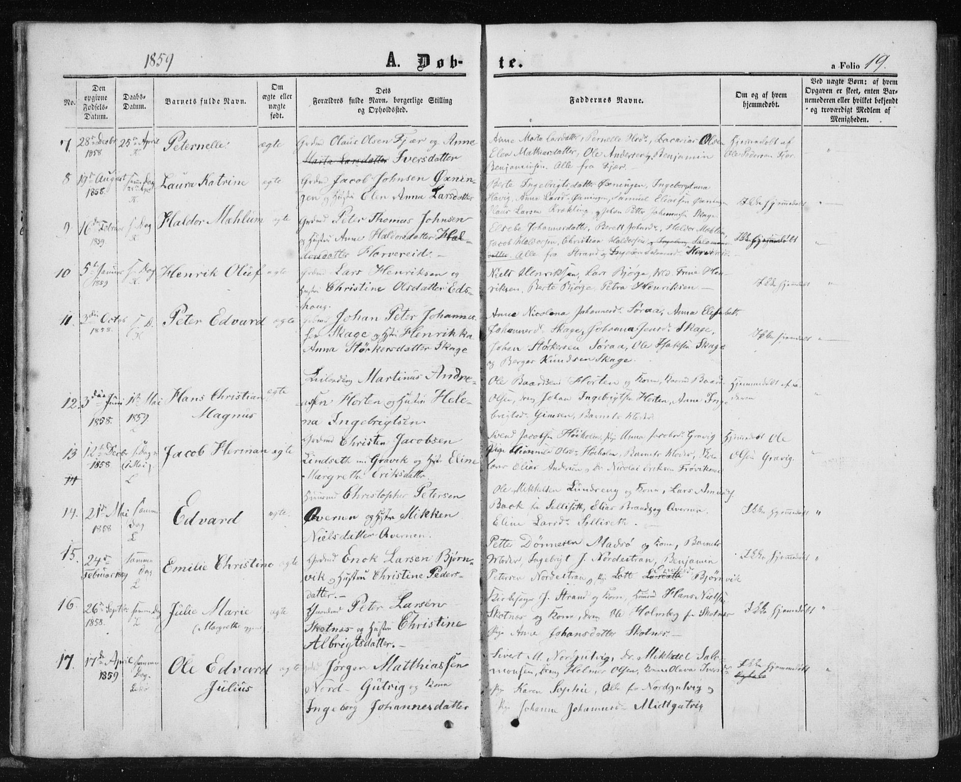 Ministerialprotokoller, klokkerbøker og fødselsregistre - Nord-Trøndelag, SAT/A-1458/780/L0641: Parish register (official) no. 780A06, 1857-1874, p. 19