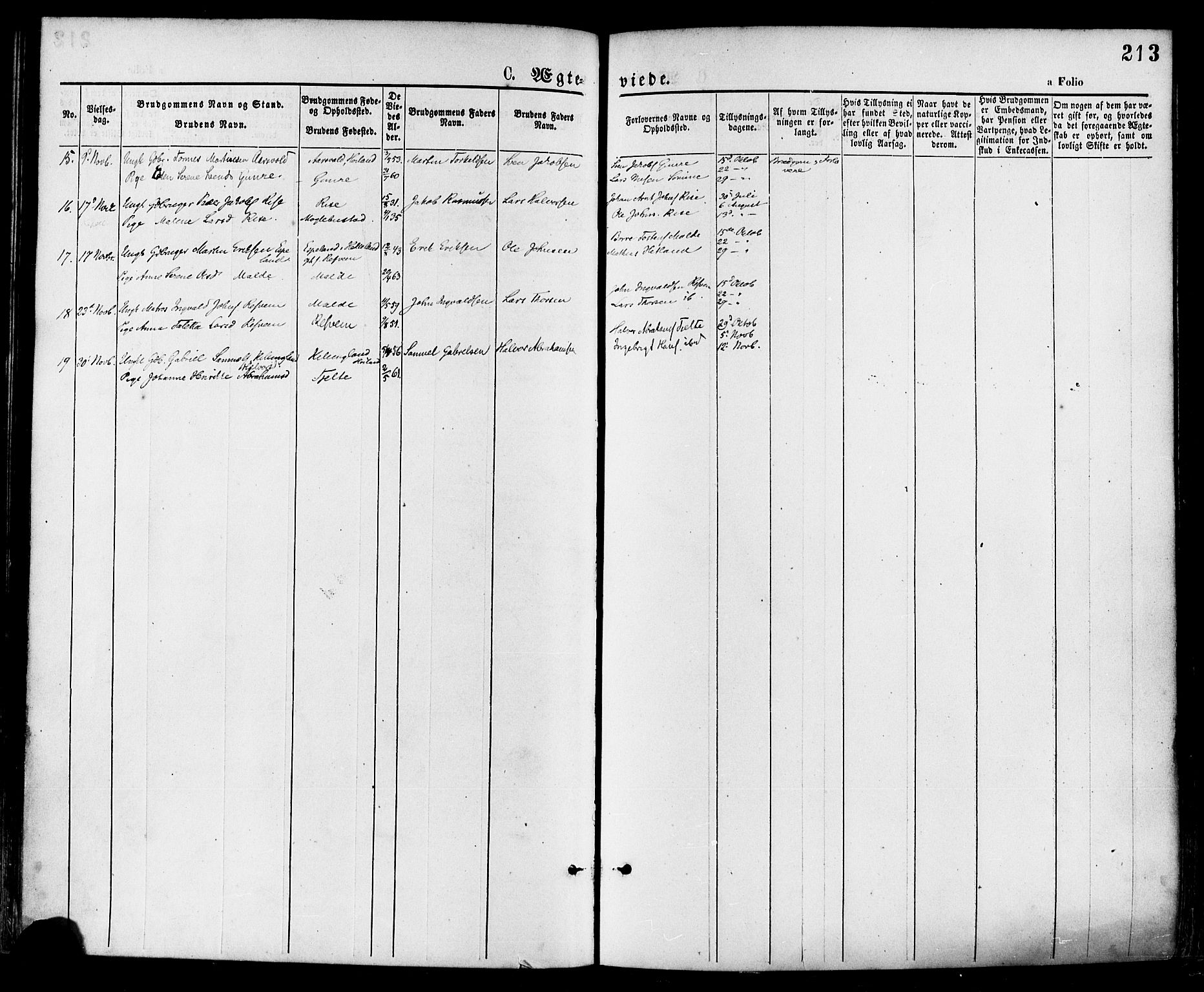 Håland sokneprestkontor, AV/SAST-A-101802/001/30BA/L0009: Parish register (official) no. A 8, 1871-1882, p. 213