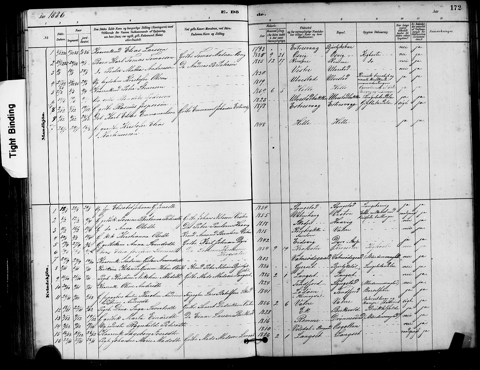 Ministerialprotokoller, klokkerbøker og fødselsregistre - Møre og Romsdal, AV/SAT-A-1454/525/L0376: Parish register (copy) no. 525C02, 1880-1902, p. 172