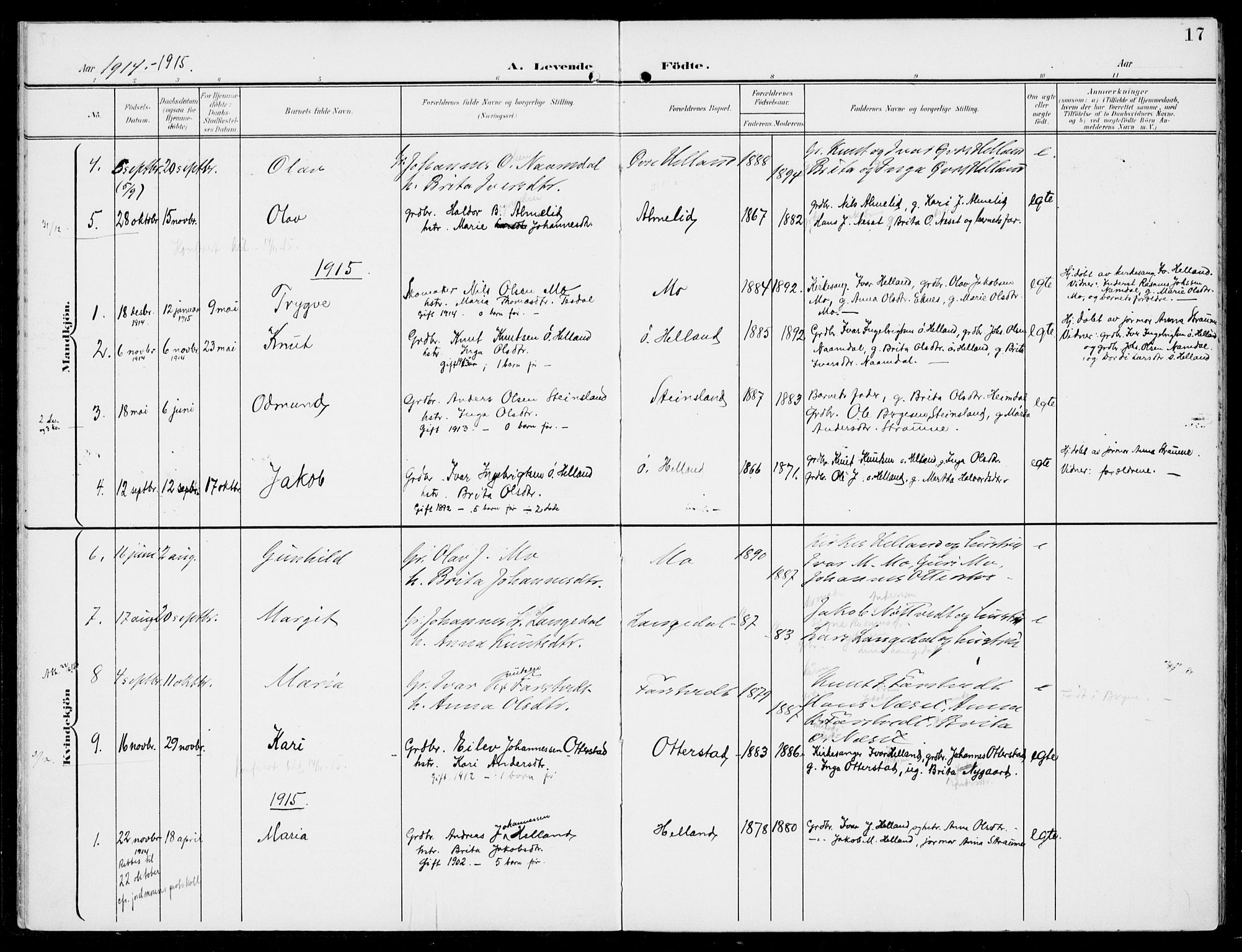 Hosanger sokneprestembete, SAB/A-75801/H/Haa: Parish register (official) no. C  2, 1901-1925, p. 17