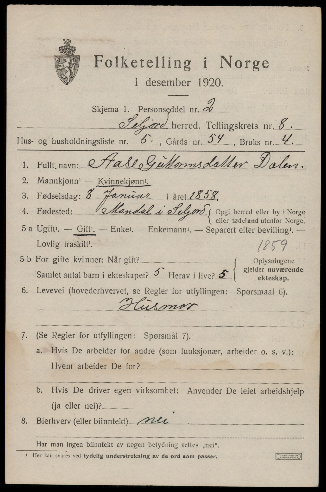 SAKO, 1920 census for Seljord, 1920, p. 3962