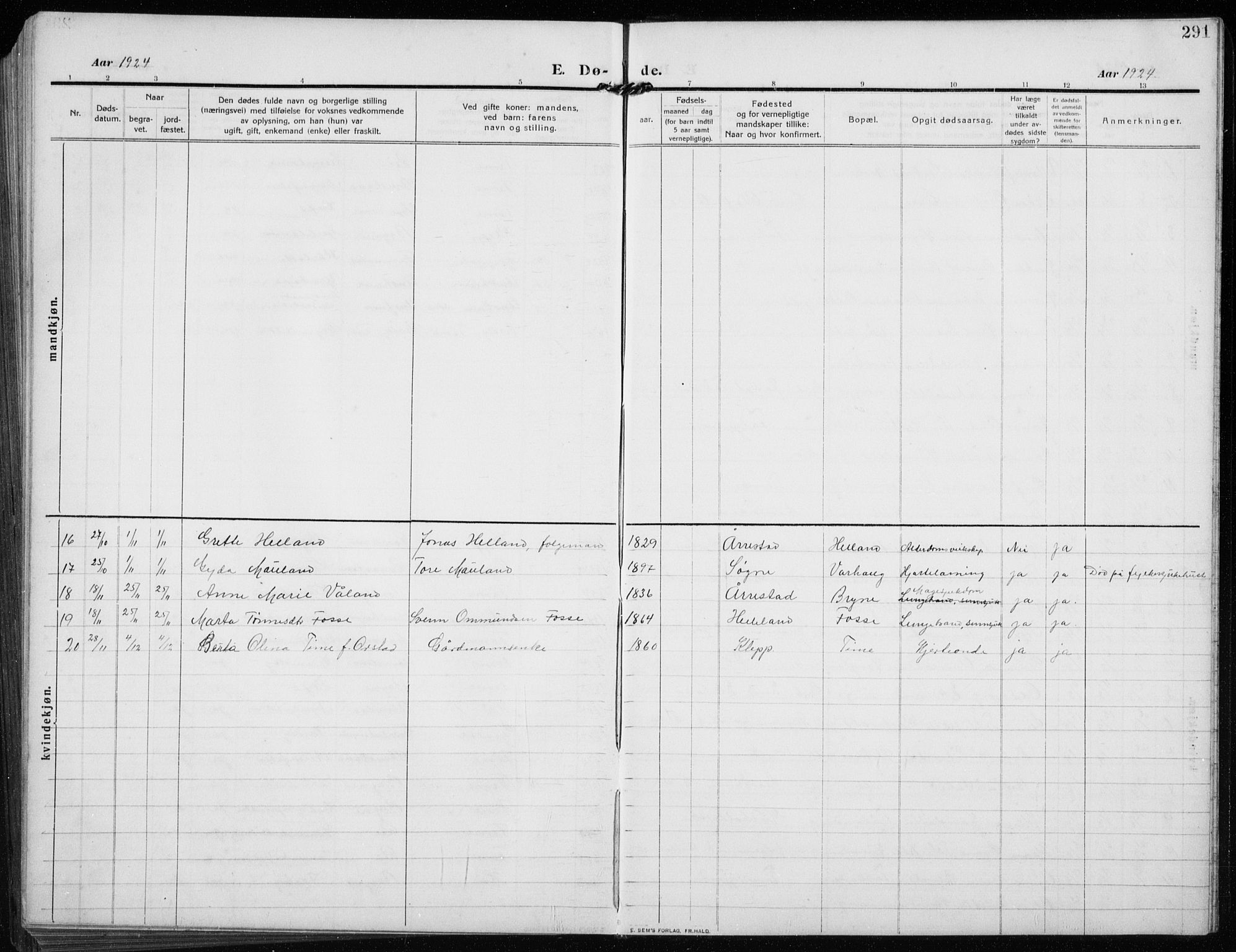 Time sokneprestkontor, SAST/A-101795/001/30BB/L0001: Parish register (copy) no. B 1, 1910-1932, p. 291