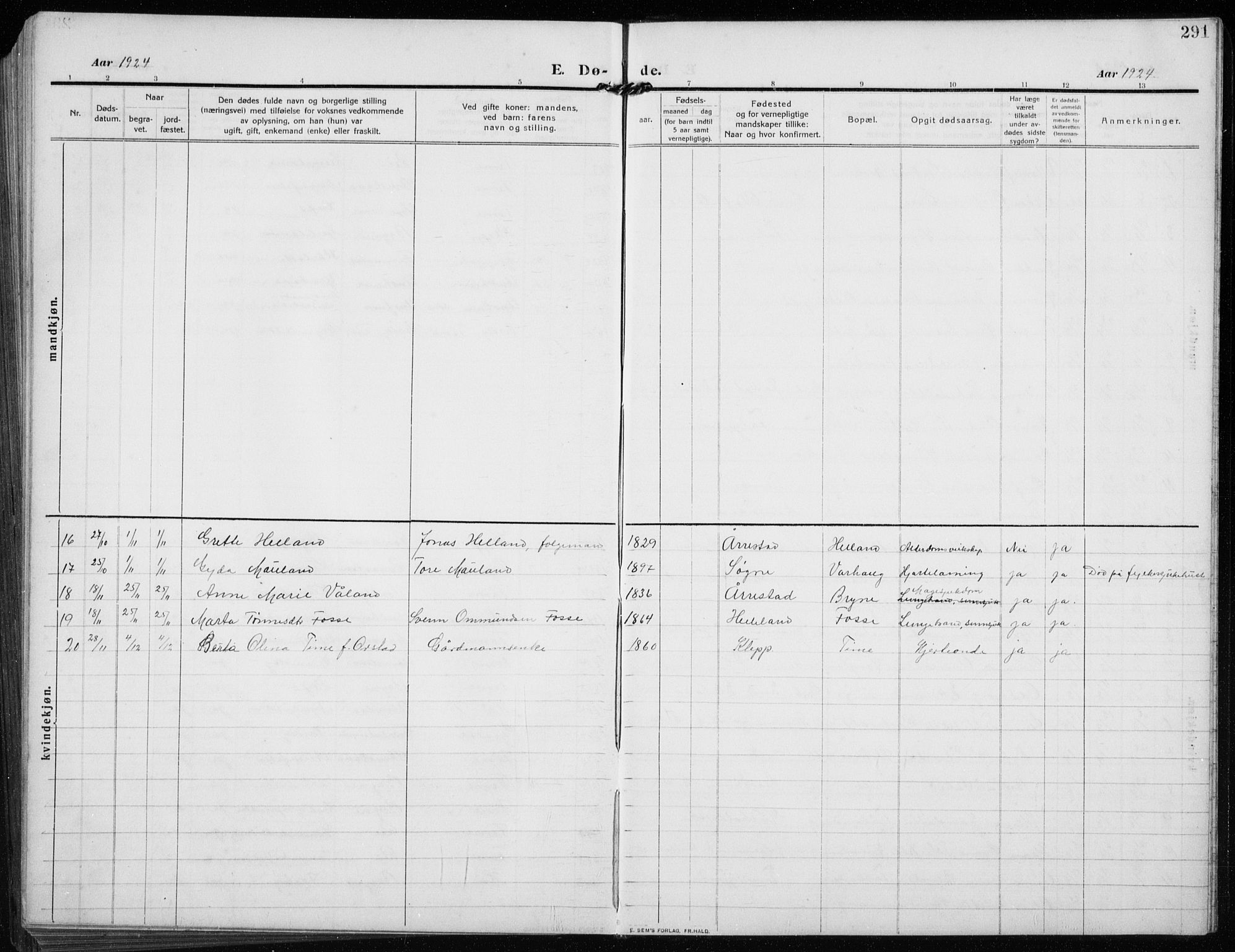 Time sokneprestkontor, AV/SAST-A-101795/001/30BB/L0001: Parish register (copy) no. B 1, 1910-1932, p. 291