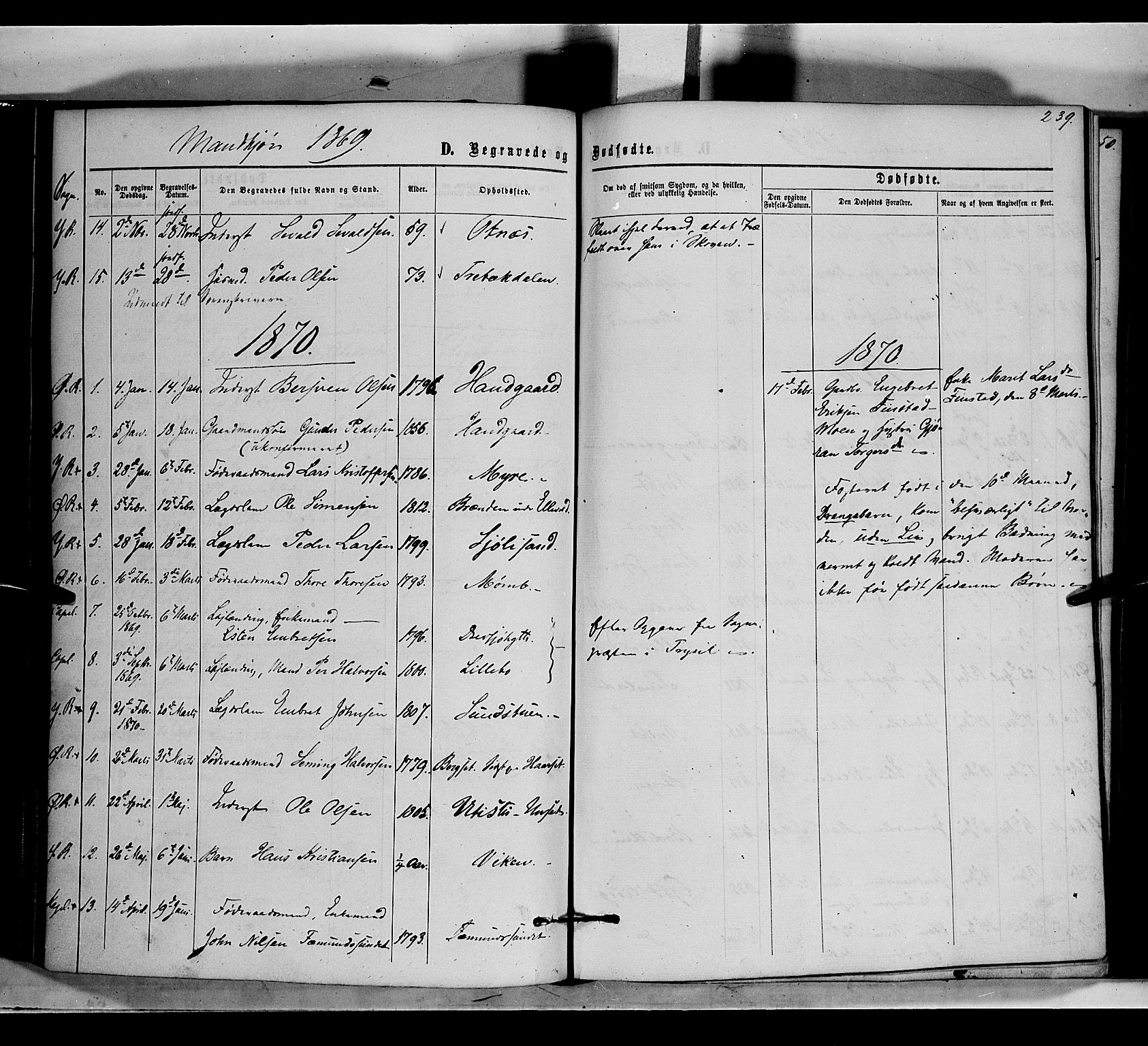 Rendalen prestekontor, SAH/PREST-054/H/Ha/Haa/L0006: Parish register (official) no. 6, 1867-1877, p. 239