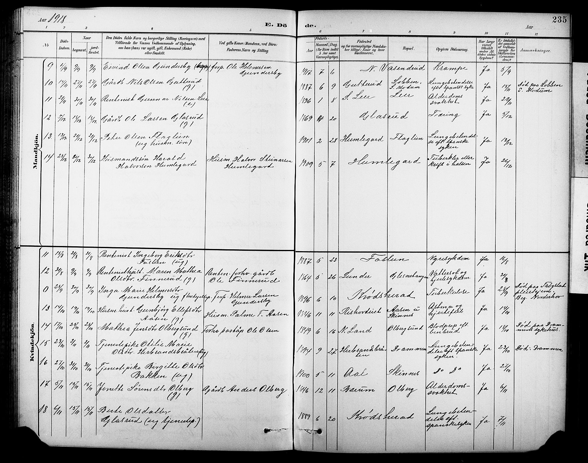 Krødsherad kirkebøker, SAKO/A-19/G/Ga/L0002: Parish register (copy) no. 2, 1894-1918, p. 235