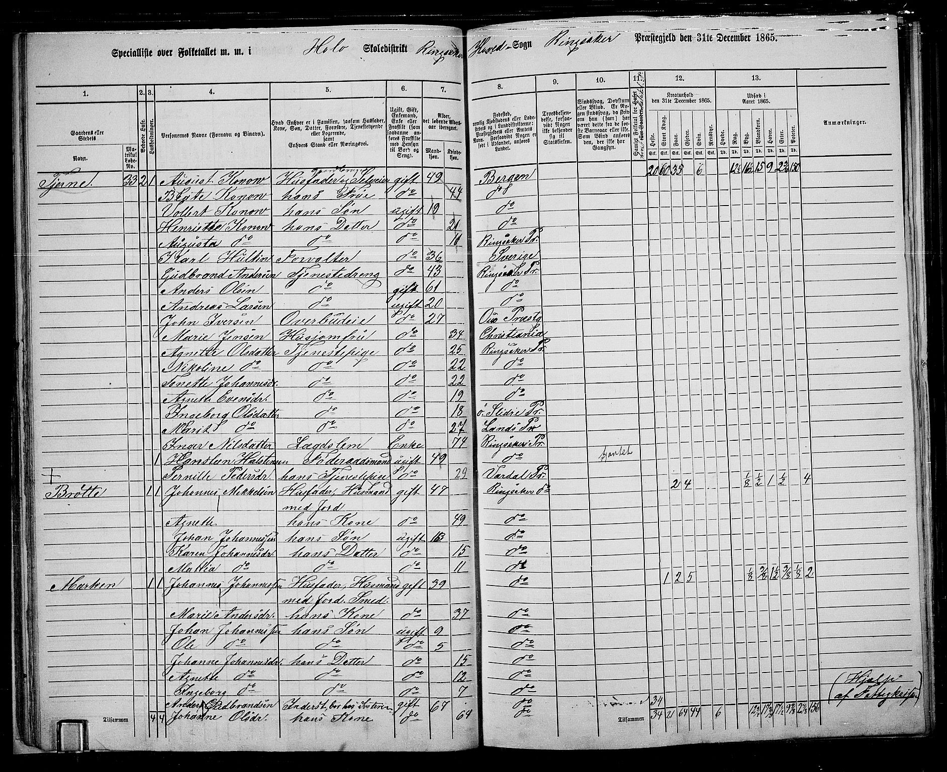 RA, 1865 census for Ringsaker, 1865, p. 45