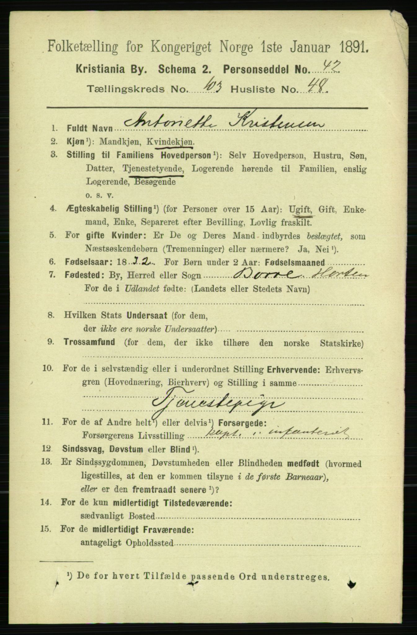 RA, 1891 census for 0301 Kristiania, 1891, p. 52207