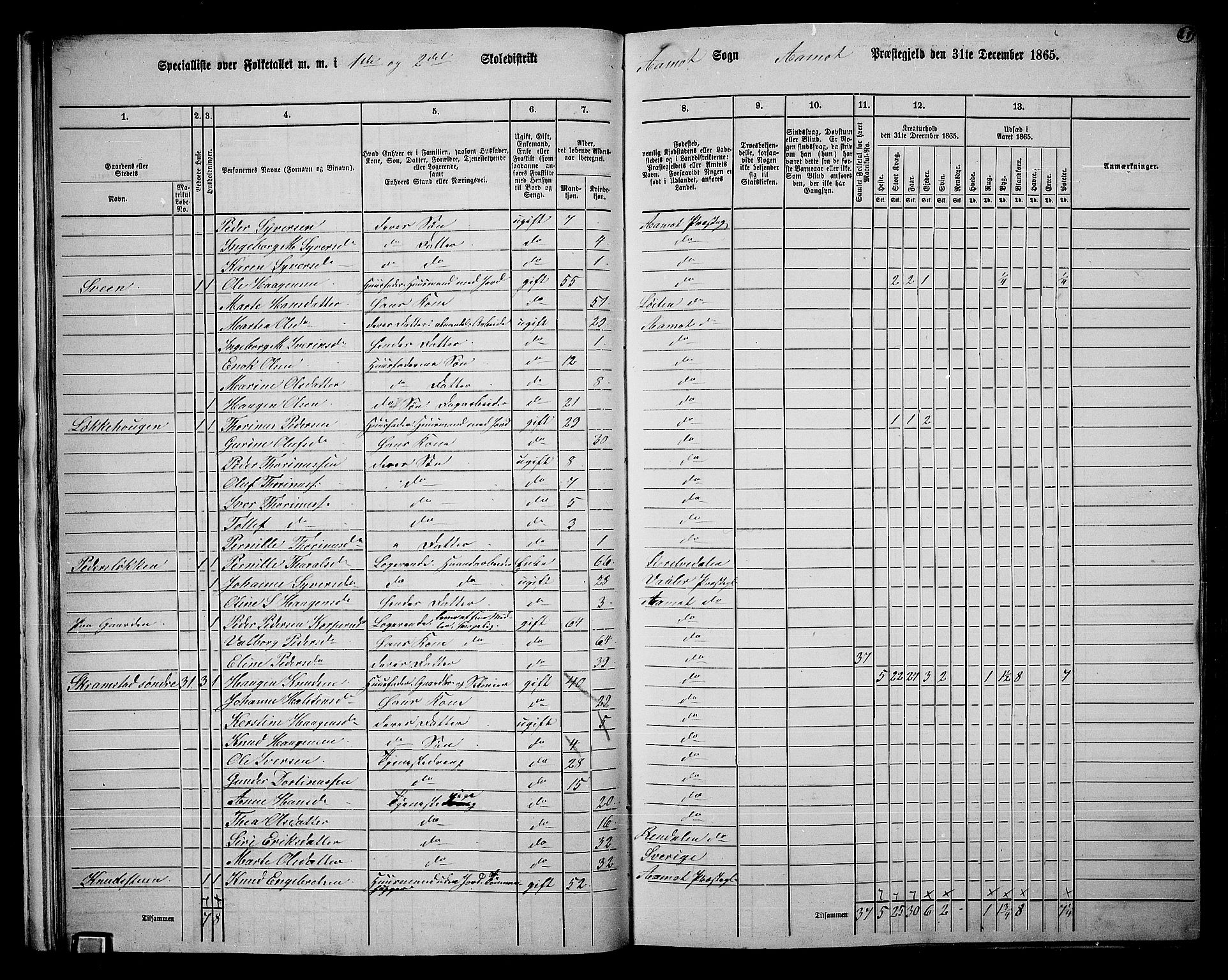 RA, 1865 census for Åmot, 1865, p. 19