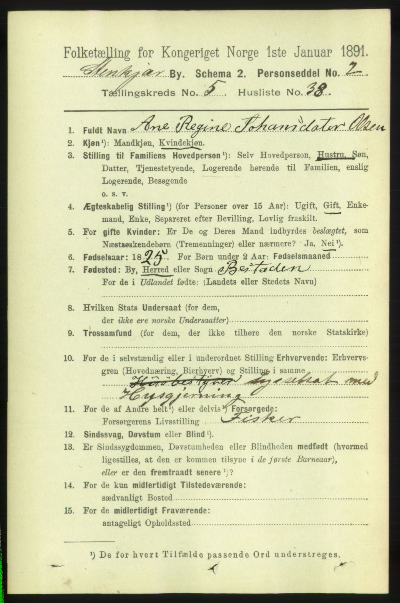 RA, 1891 census for 1702 Steinkjer, 1891, p. 2092