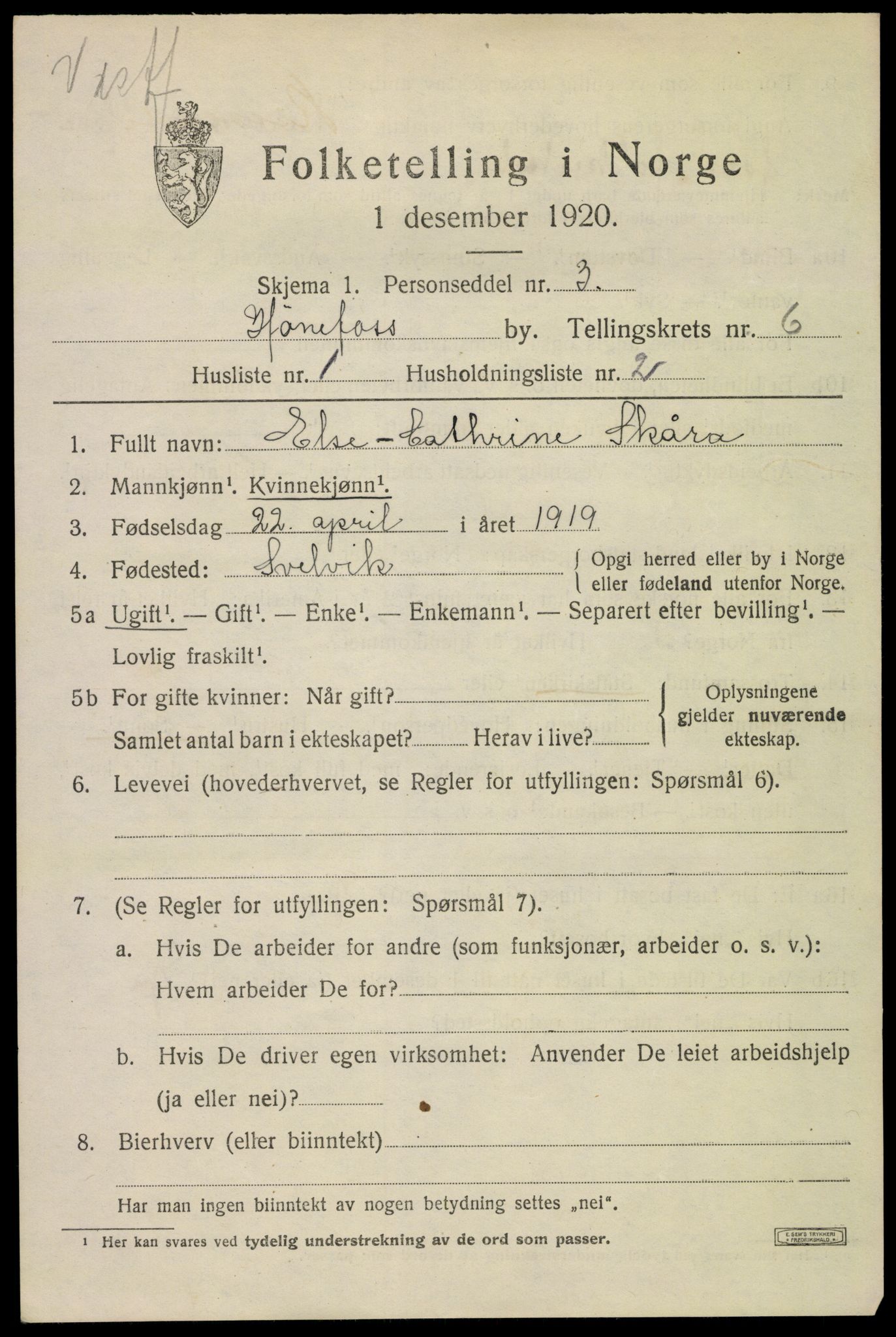 SAKO, 1920 census for Hønefoss, 1920, p. 6970