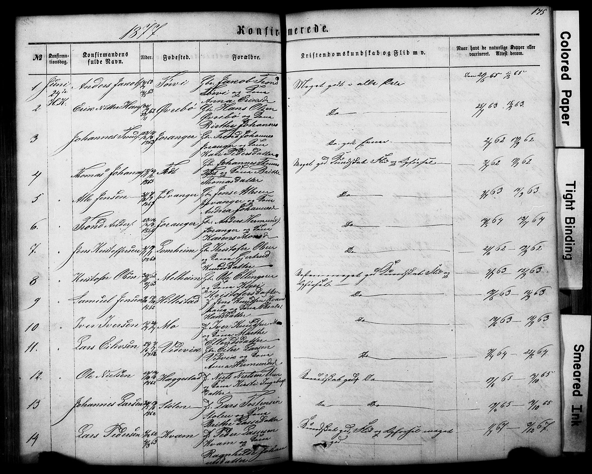 Hafslo sokneprestembete, SAB/A-80301/H/Hab/Haba/L0001: Parish register (copy) no. A 1, 1866-1908, p. 175