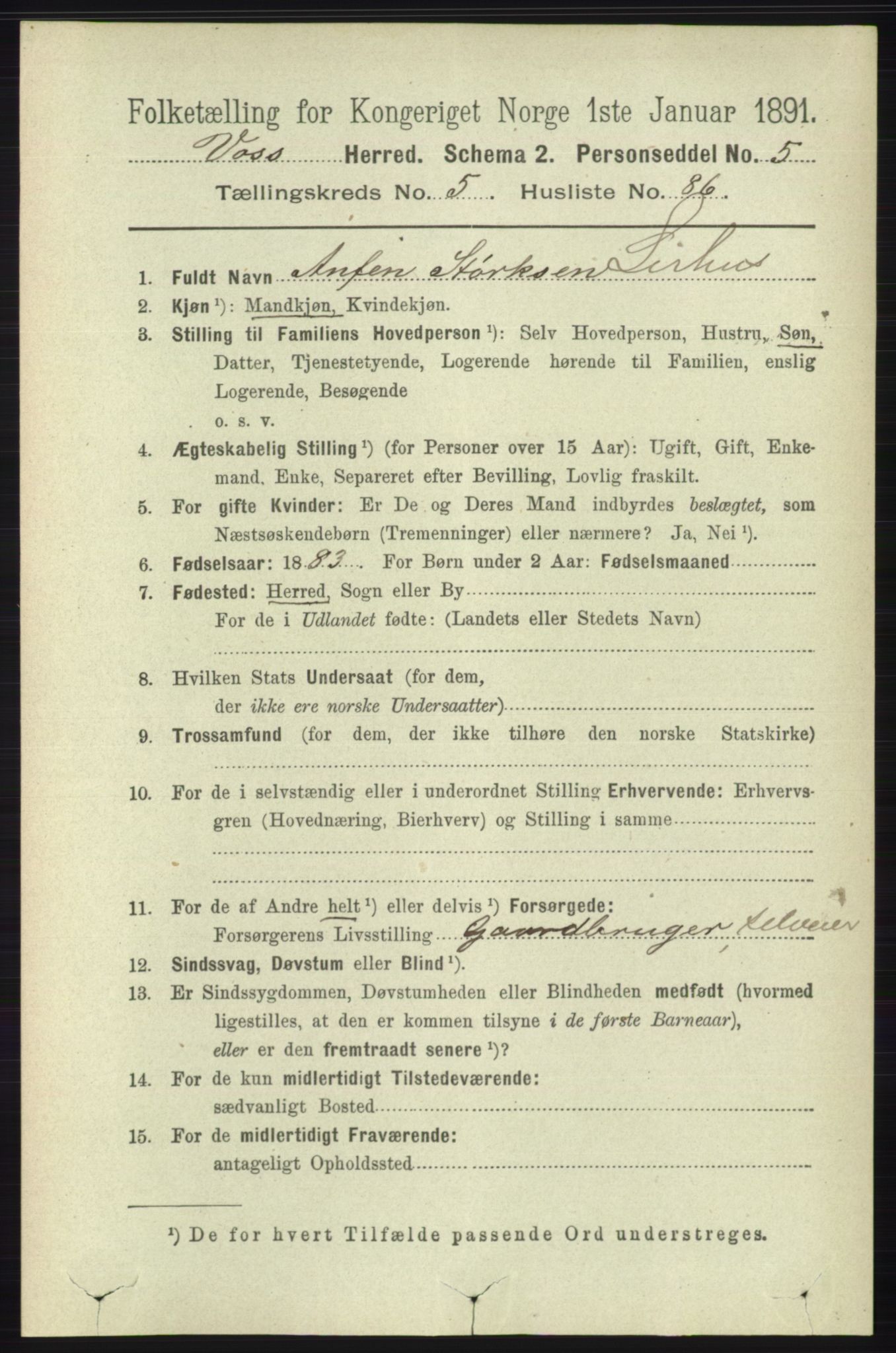 RA, 1891 census for 1235 Voss, 1891, p. 3200