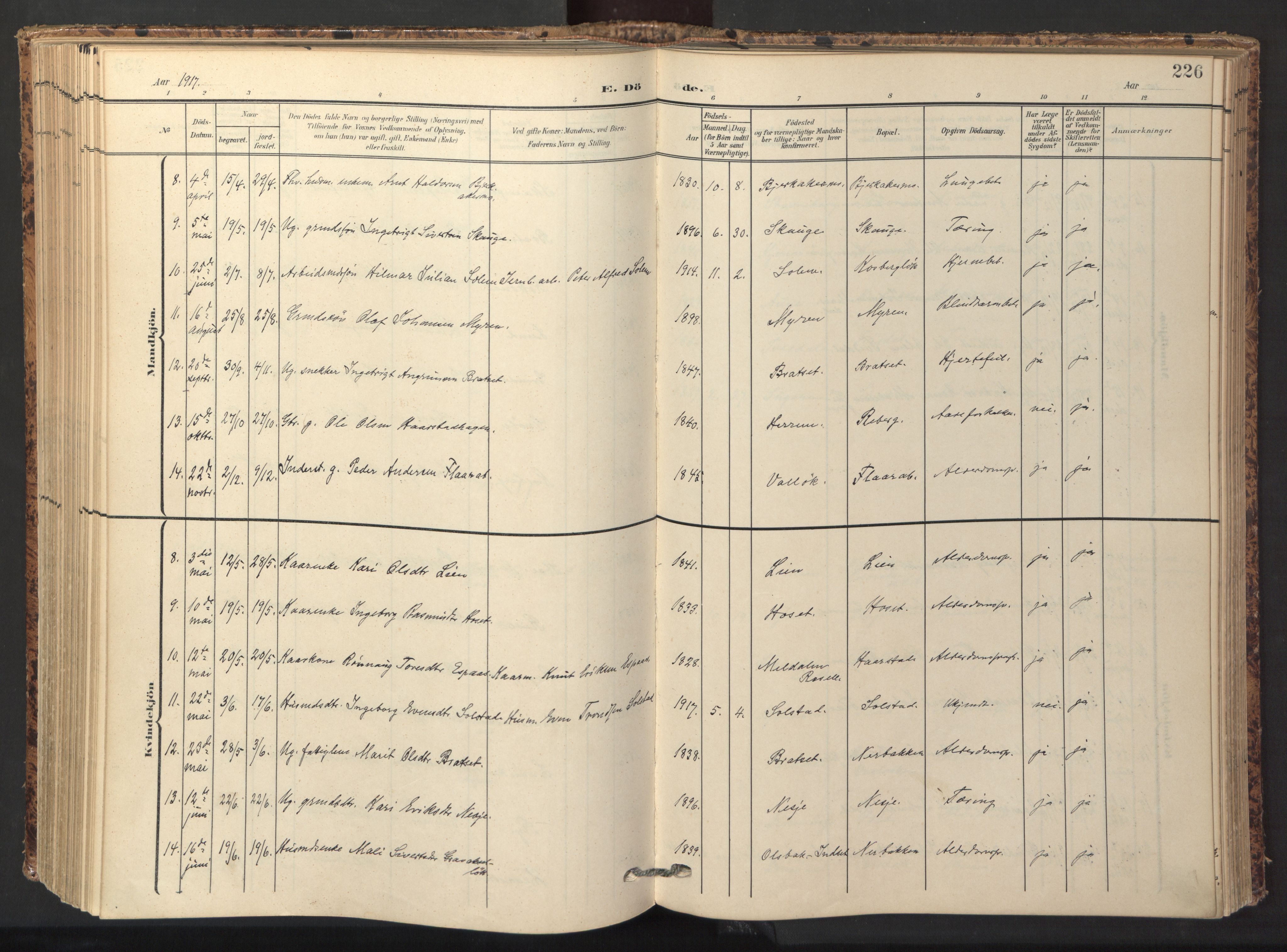 Ministerialprotokoller, klokkerbøker og fødselsregistre - Sør-Trøndelag, AV/SAT-A-1456/674/L0873: Parish register (official) no. 674A05, 1908-1923, p. 226