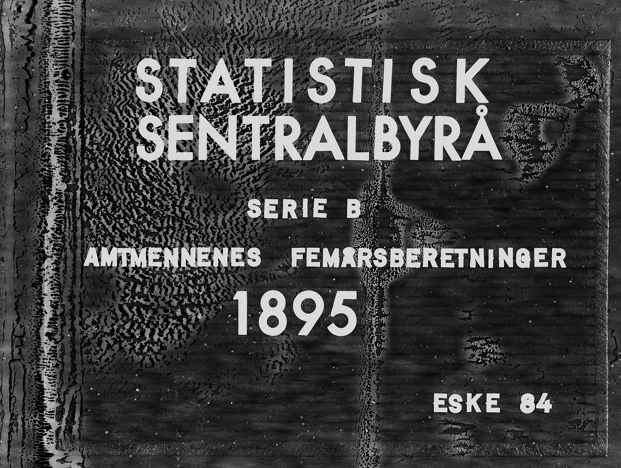 Statistisk sentralbyrå, Næringsøkonomiske emner, Generelt - Amtmennenes femårsberetninger, RA/S-2233/F/Fa/L0084: --, 1891-1895, p. 1