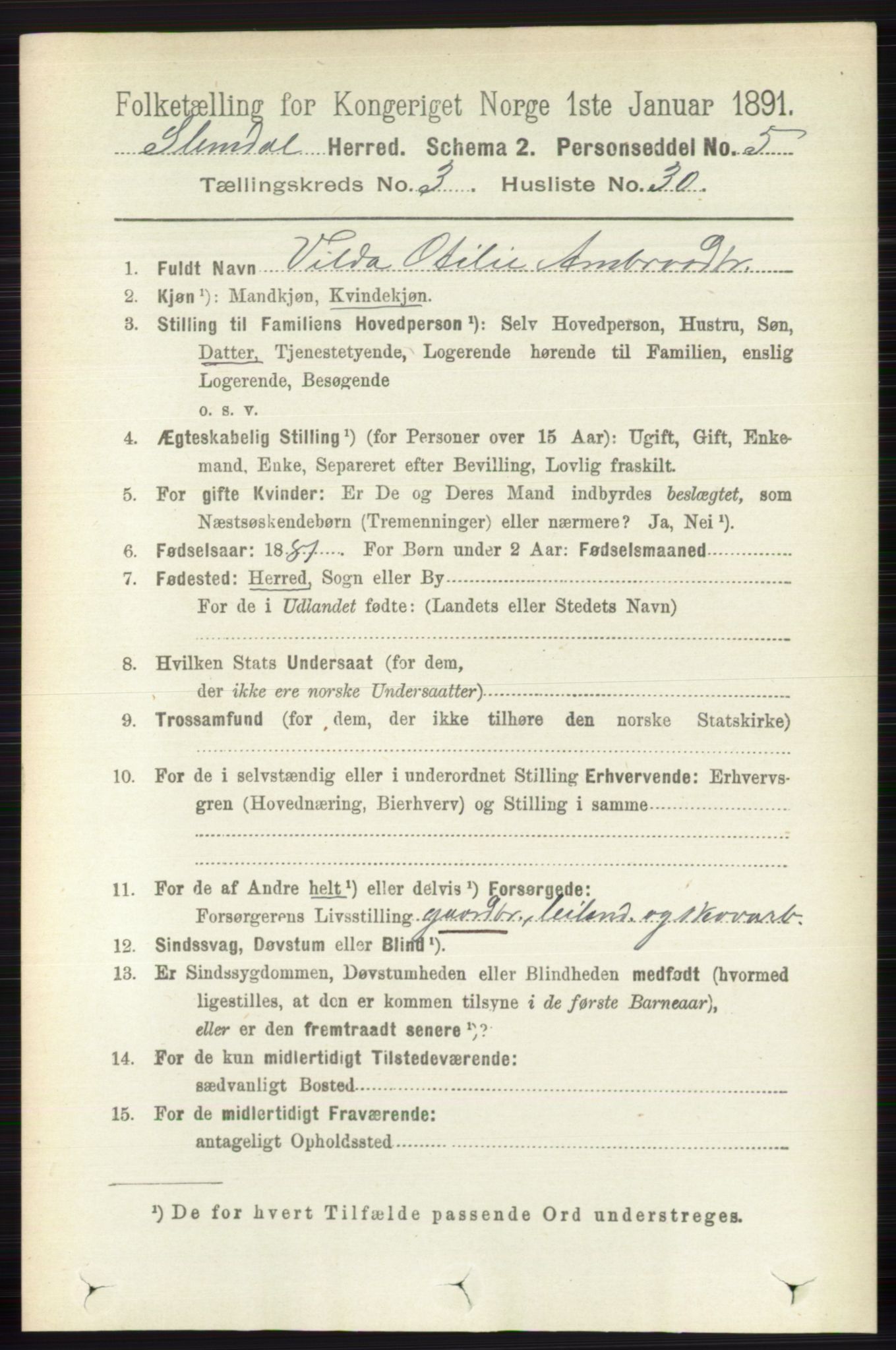 RA, 1891 census for 0811 Slemdal, 1891, p. 947