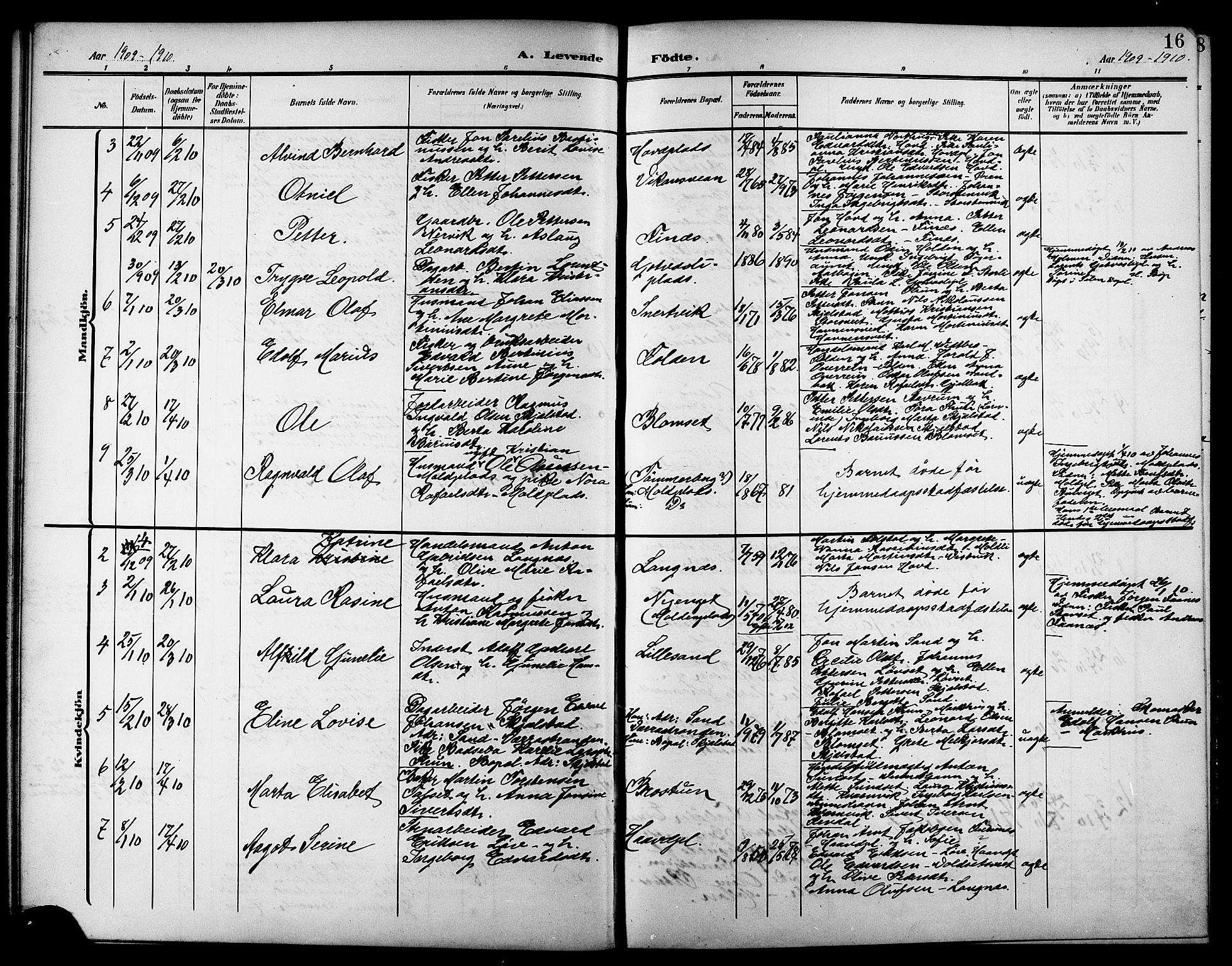 Ministerialprotokoller, klokkerbøker og fødselsregistre - Nord-Trøndelag, SAT/A-1458/744/L0424: Parish register (copy) no. 744C03, 1906-1923, p. 16