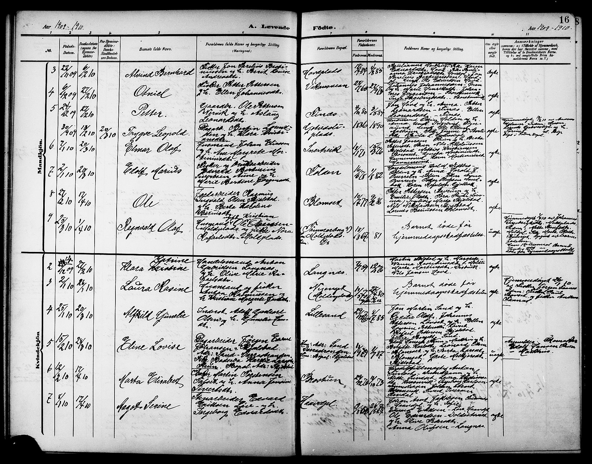 Ministerialprotokoller, klokkerbøker og fødselsregistre - Nord-Trøndelag, AV/SAT-A-1458/744/L0424: Parish register (copy) no. 744C03, 1906-1923, p. 16