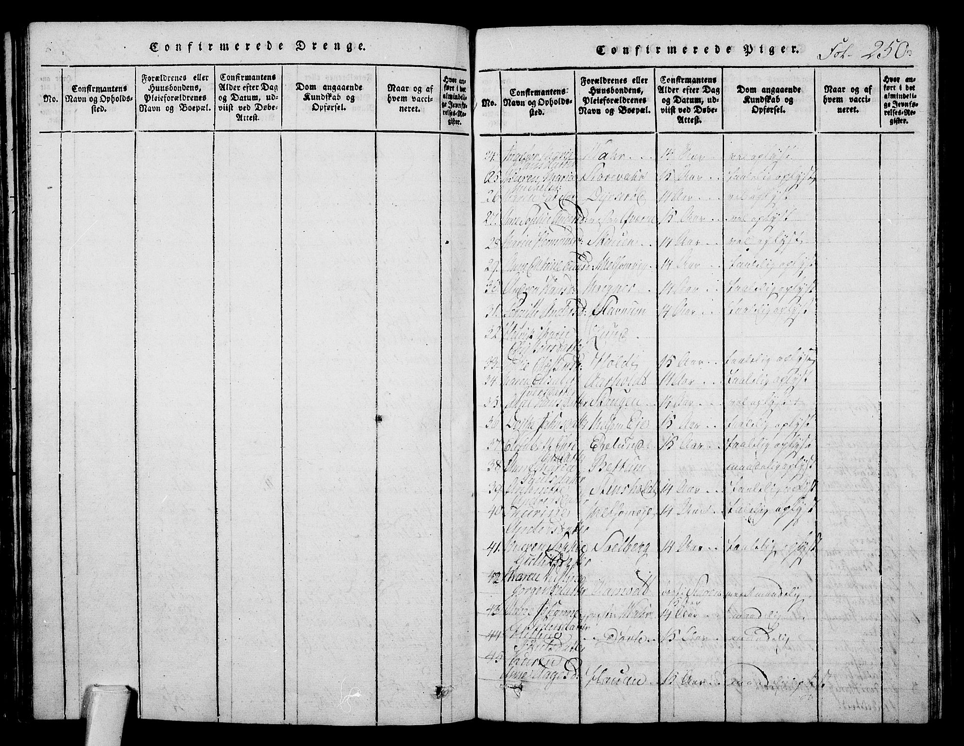 Stokke kirkebøker, AV/SAKO-A-320/F/Fa/L0005: Parish register (official) no. I 5, 1815-1826, p. 250