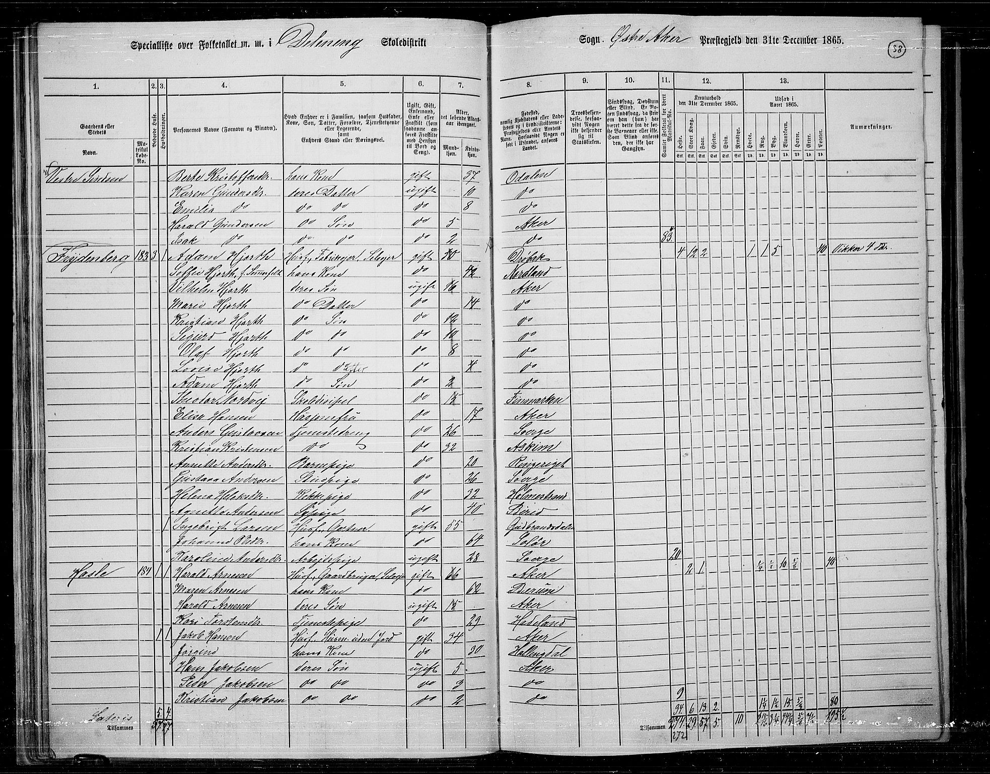 RA, 1865 census for Østre Aker, 1865, p. 35