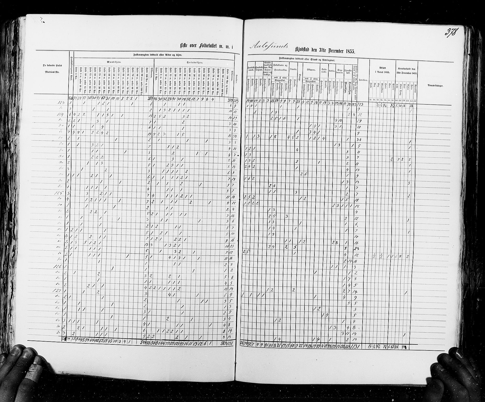 RA, Census 1855, vol. 8: Risør-Vadsø, 1855, p. 378