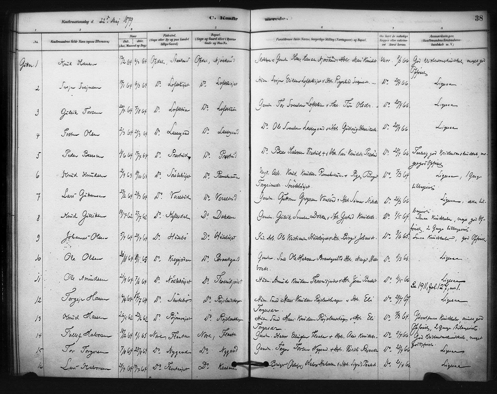 Nore kirkebøker, AV/SAKO-A-238/F/Fc/L0003: Parish register (official) no. III 3, 1878-1884, p. 38