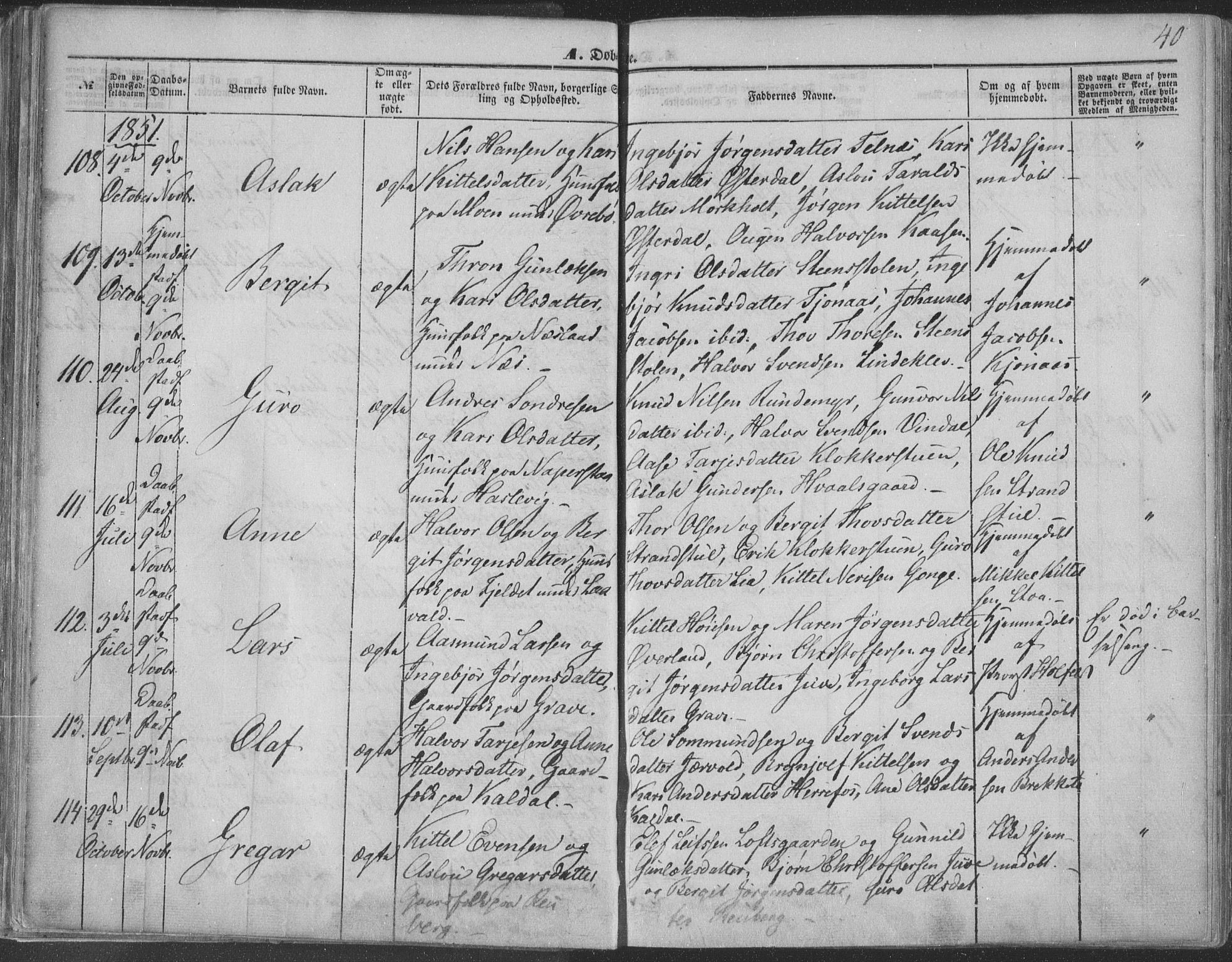 Seljord kirkebøker, SAKO/A-20/F/Fa/L012a: Parish register (official) no. I 12A, 1850-1865, p. 40